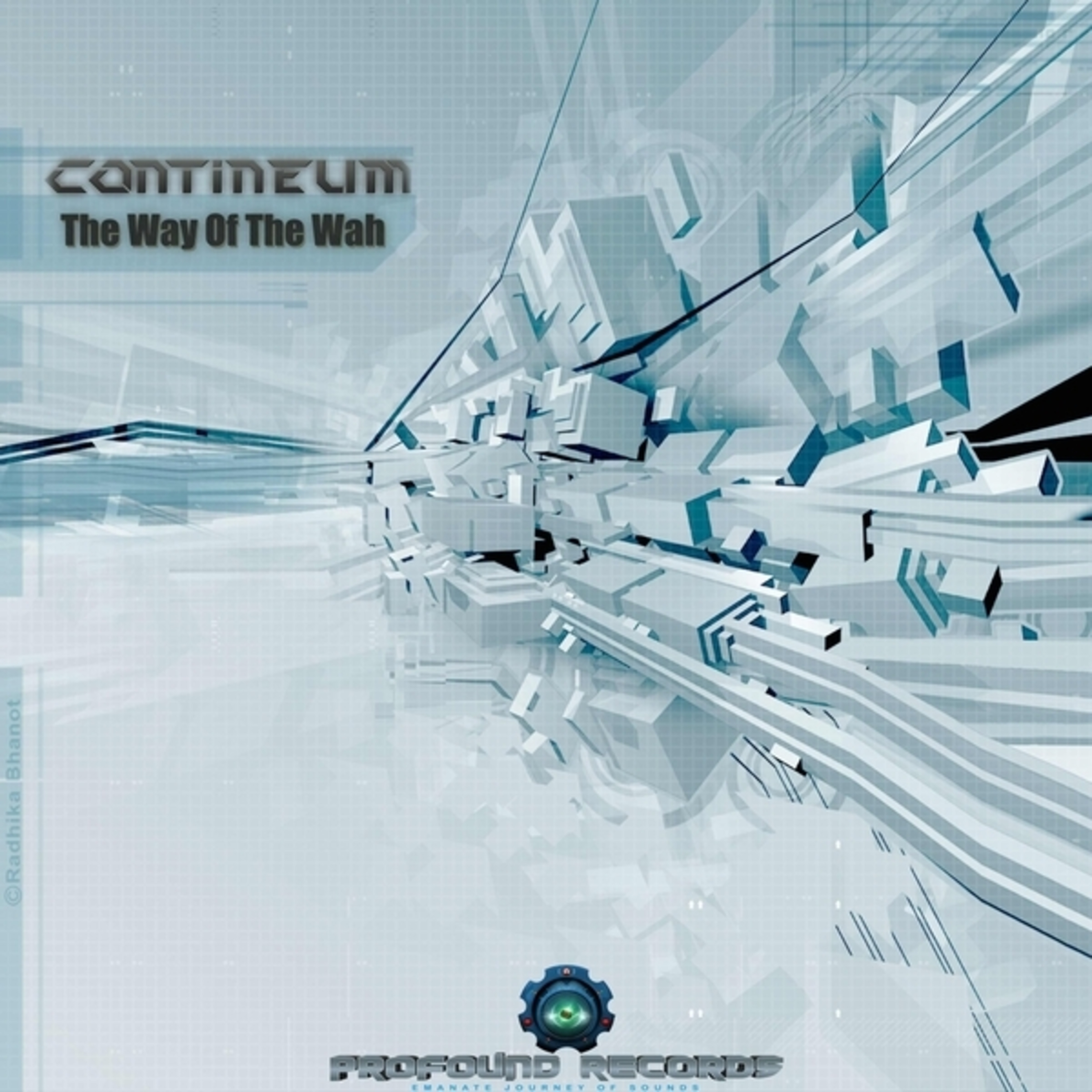 Abstract Consciousness