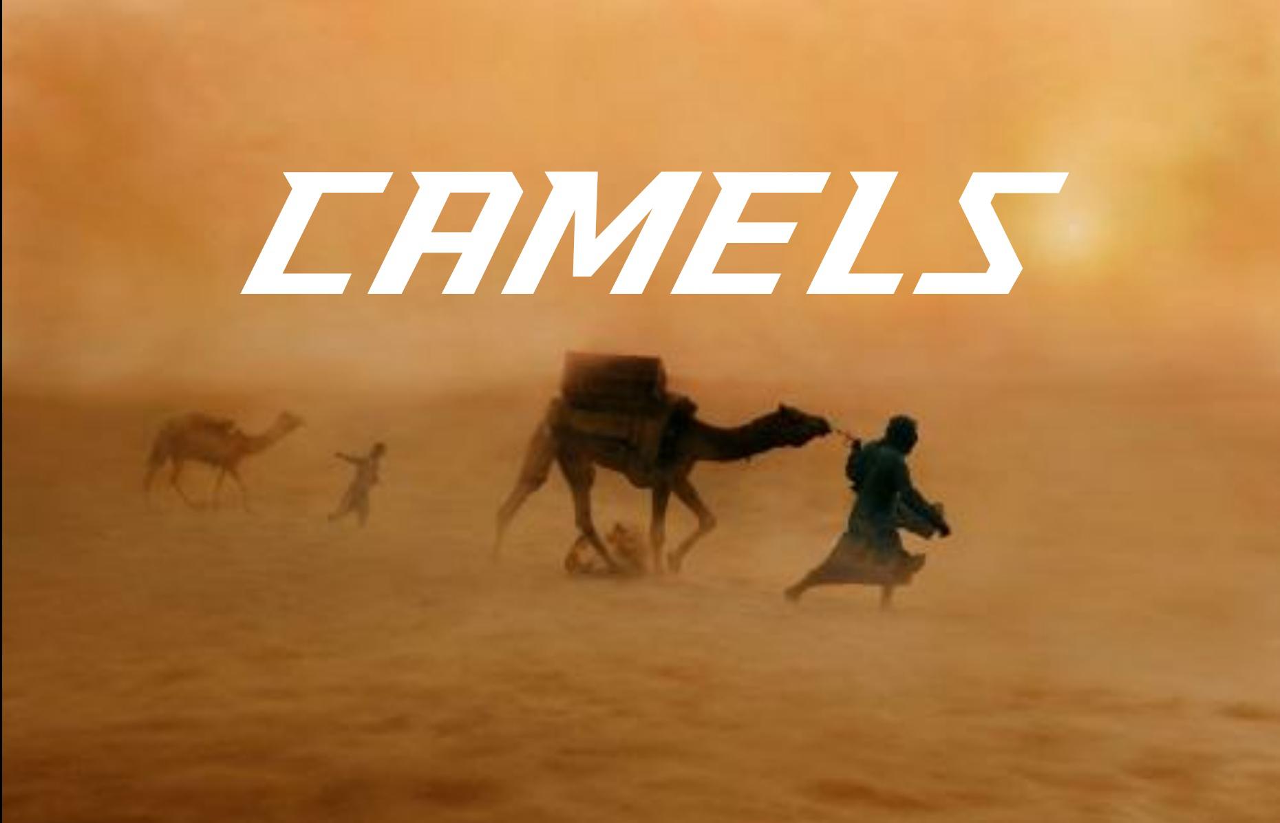 CAMELS