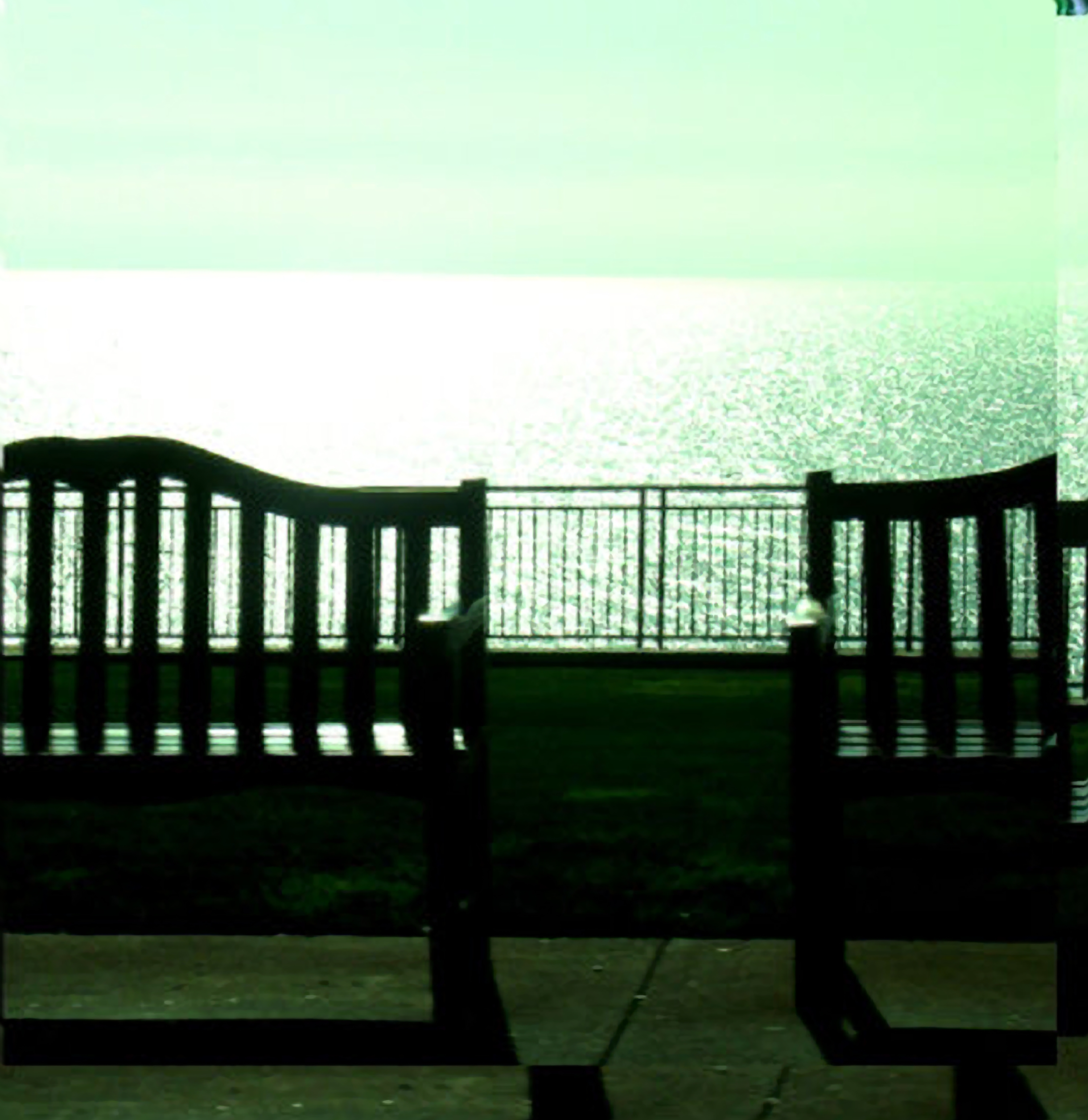 Barefoot in Head's Hallways