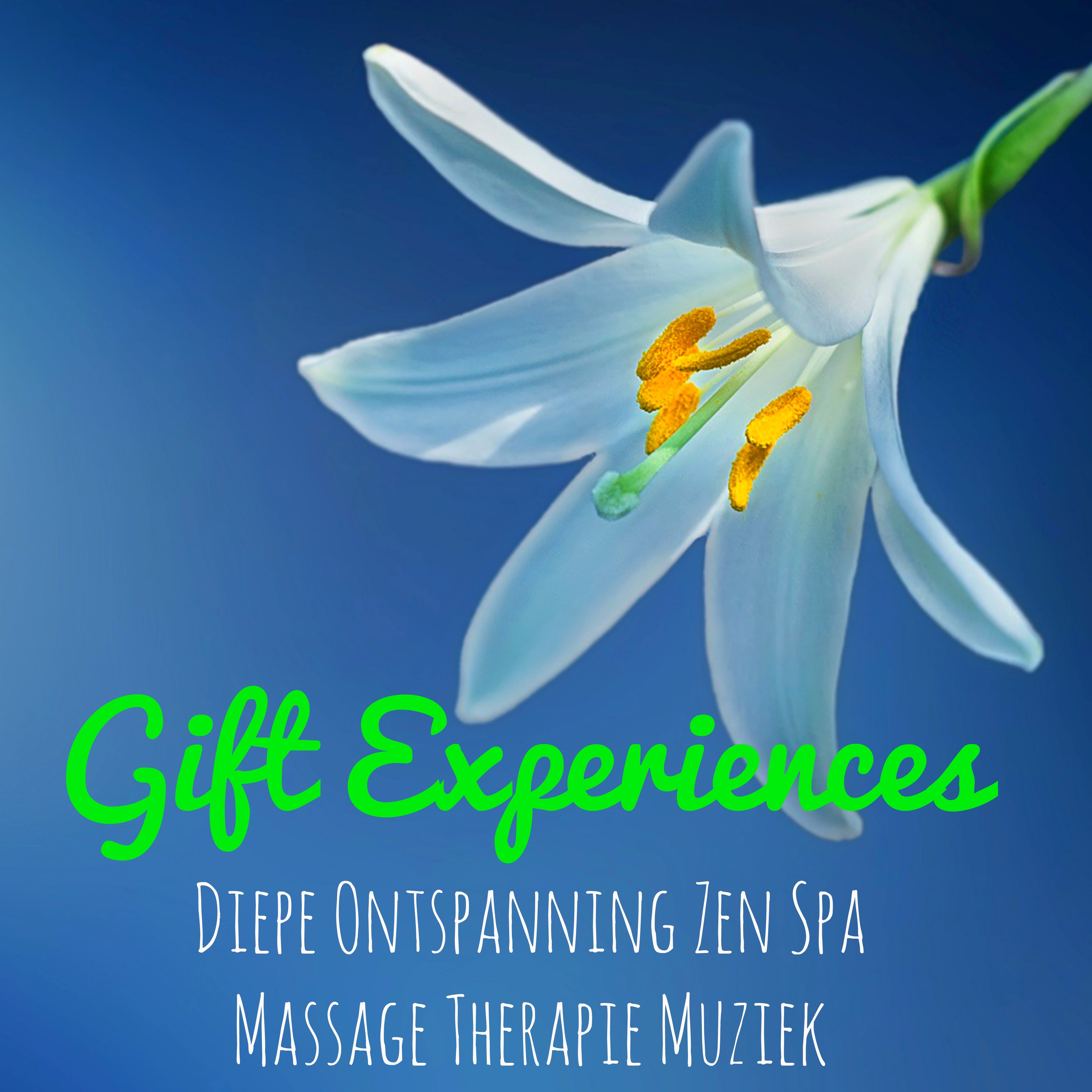 Gift Experiences - Natuurlijke Geluiden Instrumentale Easy Listening Rustgevende Geluiden voor Diepe Ontspanning Zen Spa Massage Therapie Muziek