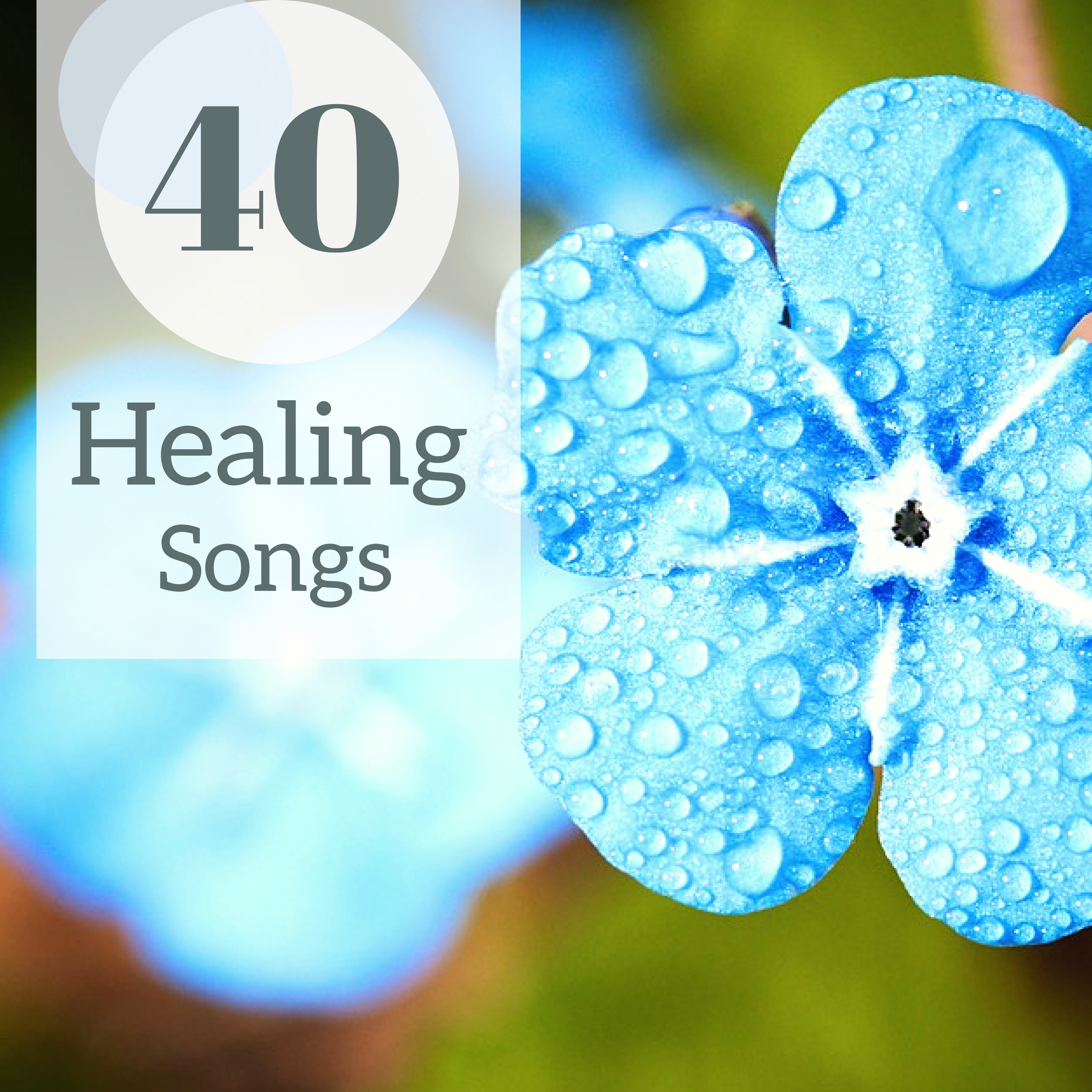 40 Healing Songs - Ambient Spa Music for Massage, Zen Flutes & Nature Sounds