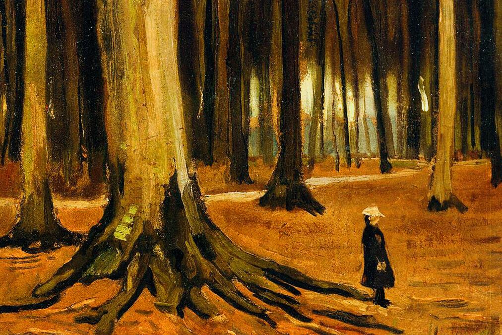 na luo qi hu pan demo