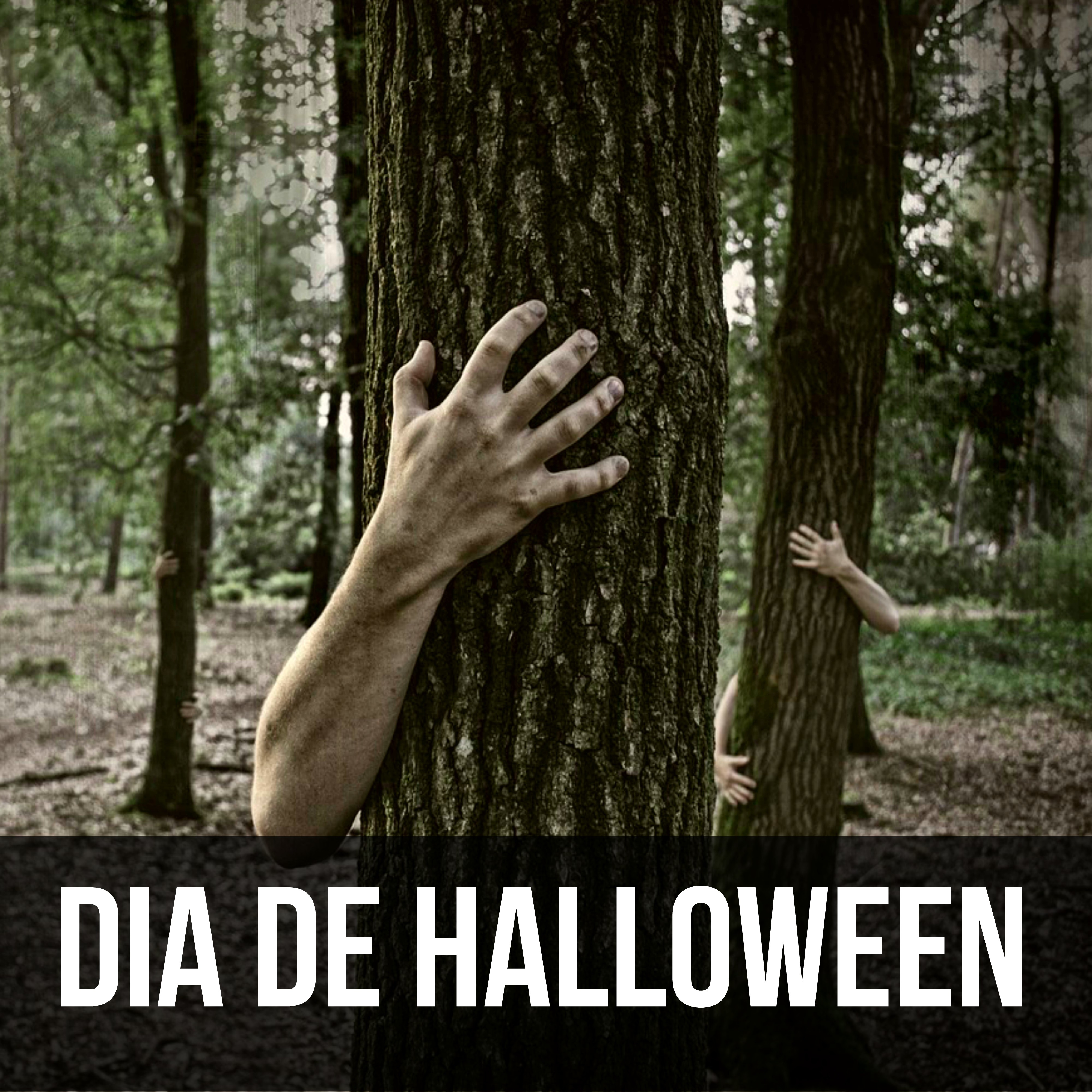 Dia de Halloween  Gritos de Zombies y Atmo sfera Sombri a para Fiesta de Monstruos con Sonidos de Miedo