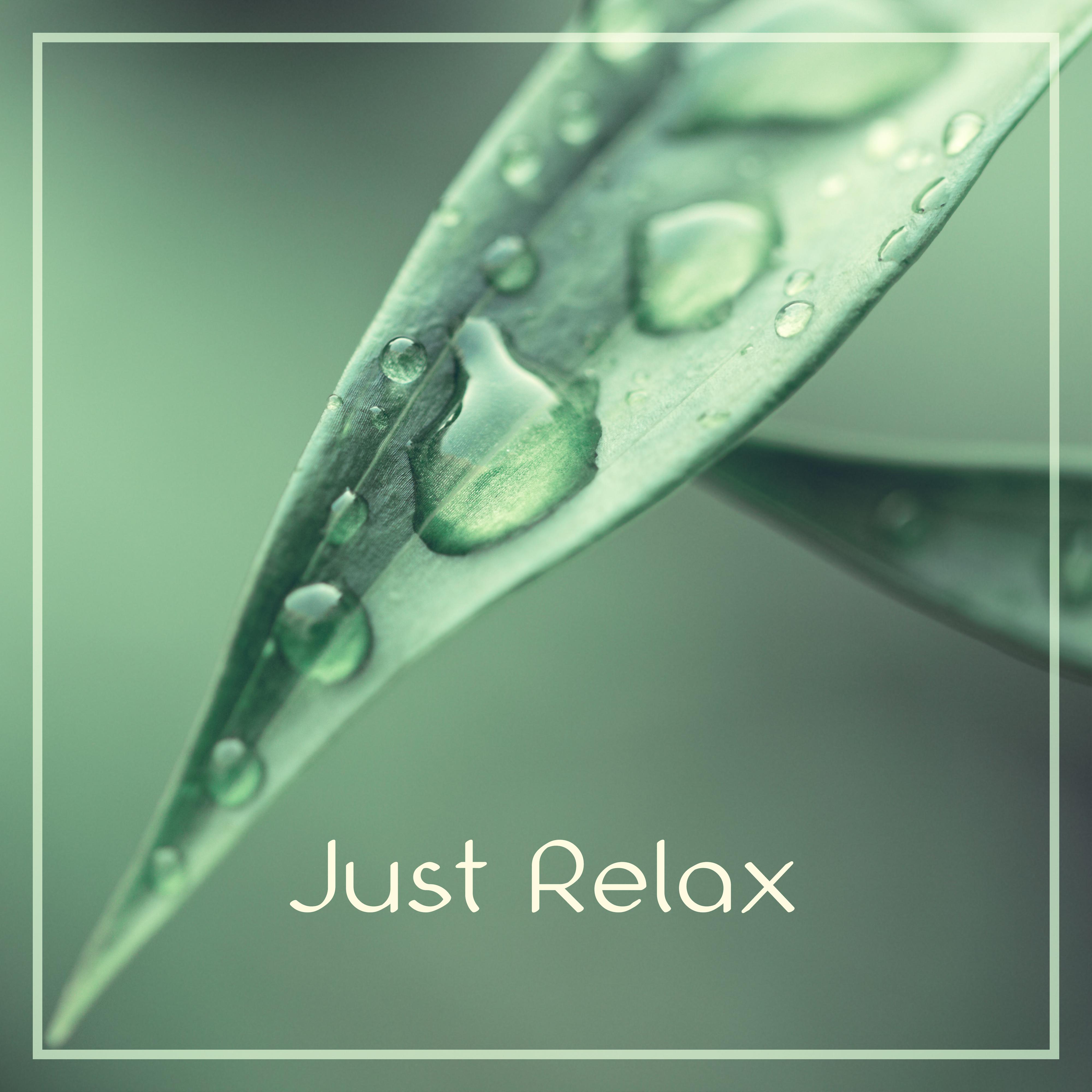 Just Relax  New Age Music, Pure Relaxation, Rest, Deep Sounds of Nature, Instrumental