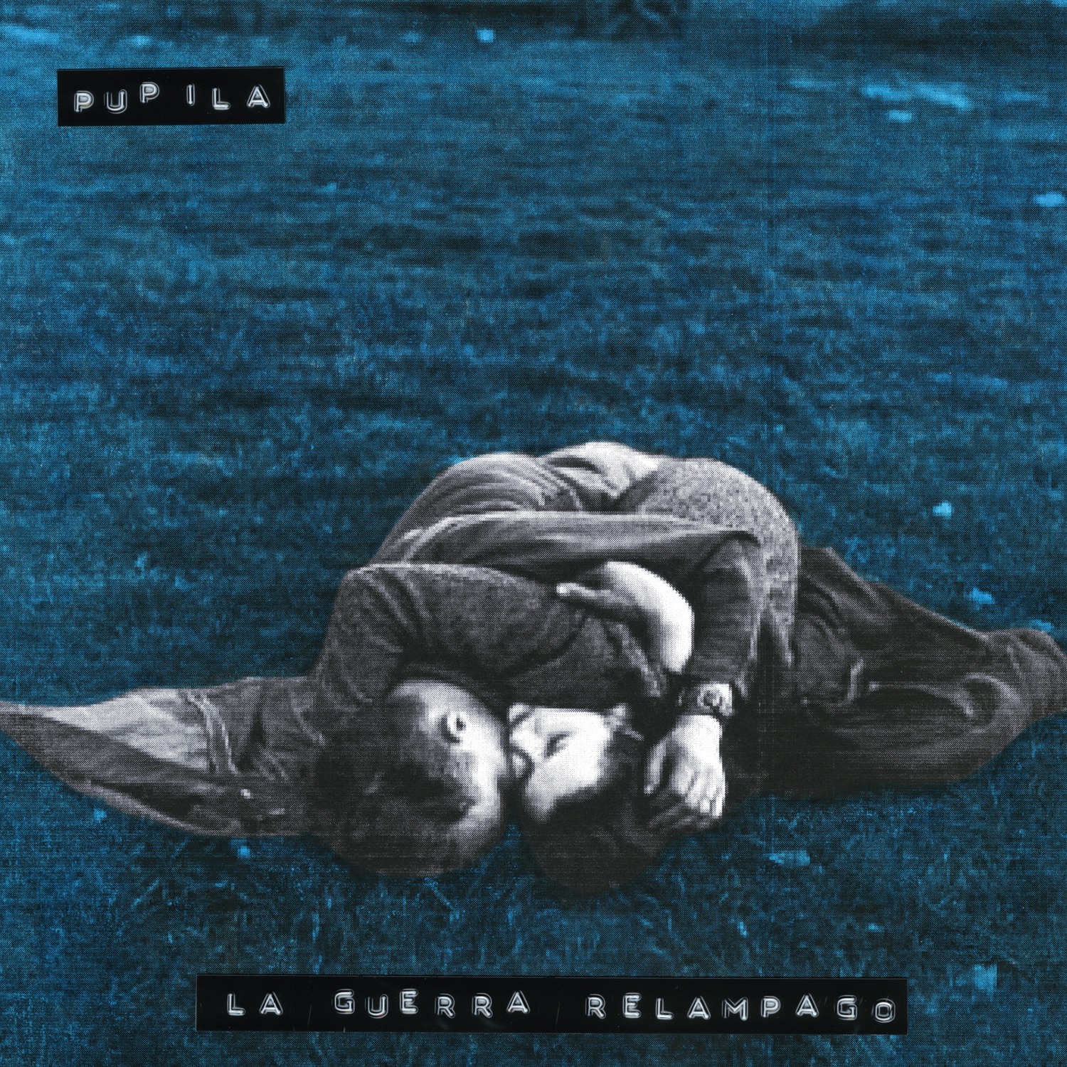 Y mientras, los cerdos nos observan