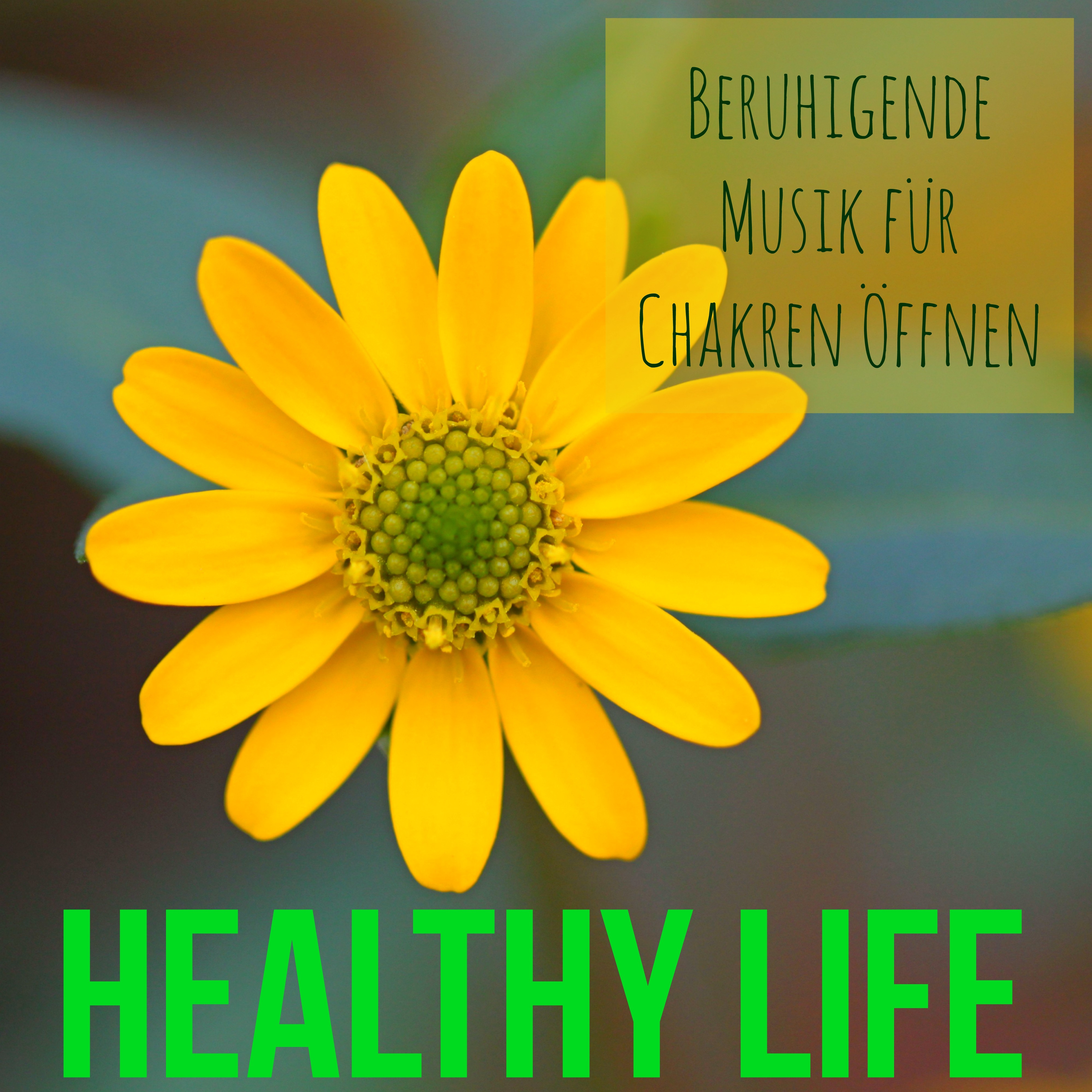Healthy Life  Chillout Lounge Beruhigende Musik fü r Chakren ffnen mit Instrumental Naturger usche