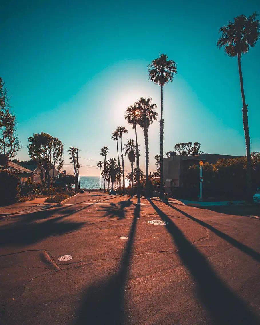 2017 xia ji live xian chang