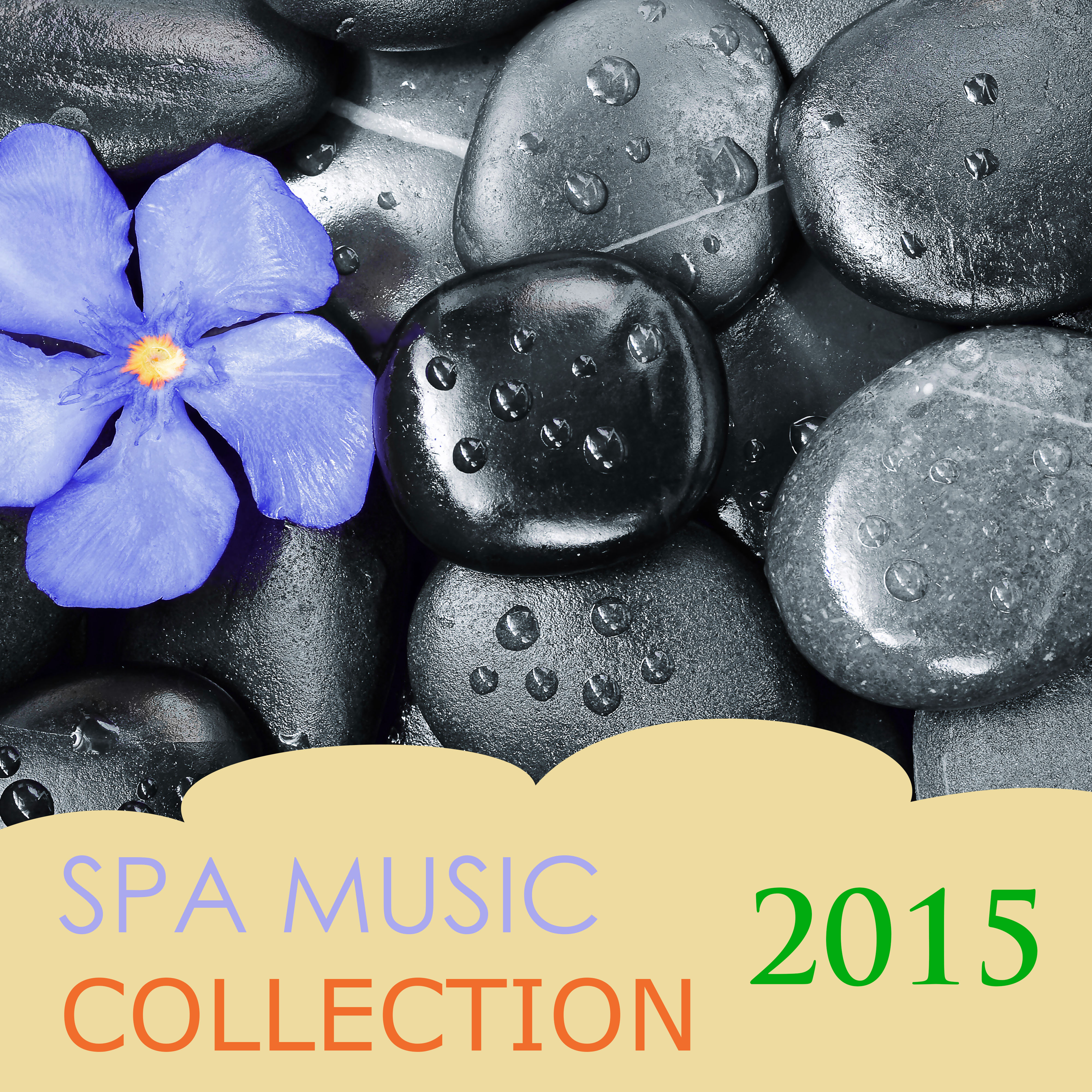 Birds Chirping in the Silent and Peaceful Forest - Top Spa Music 2015
