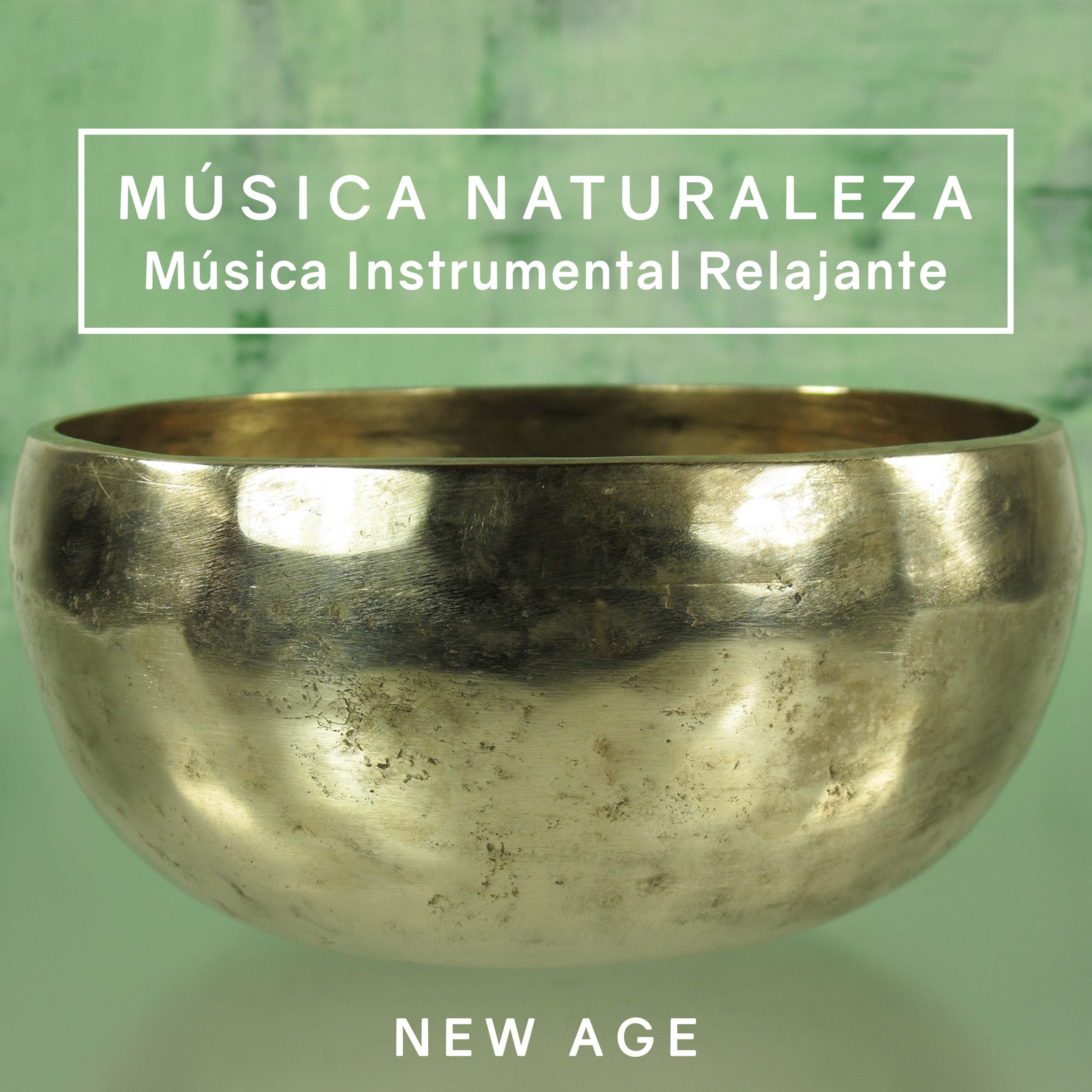 Musica Naturaleza - Musica Instrumental Relajante con los Sonidos de la Naturaleza