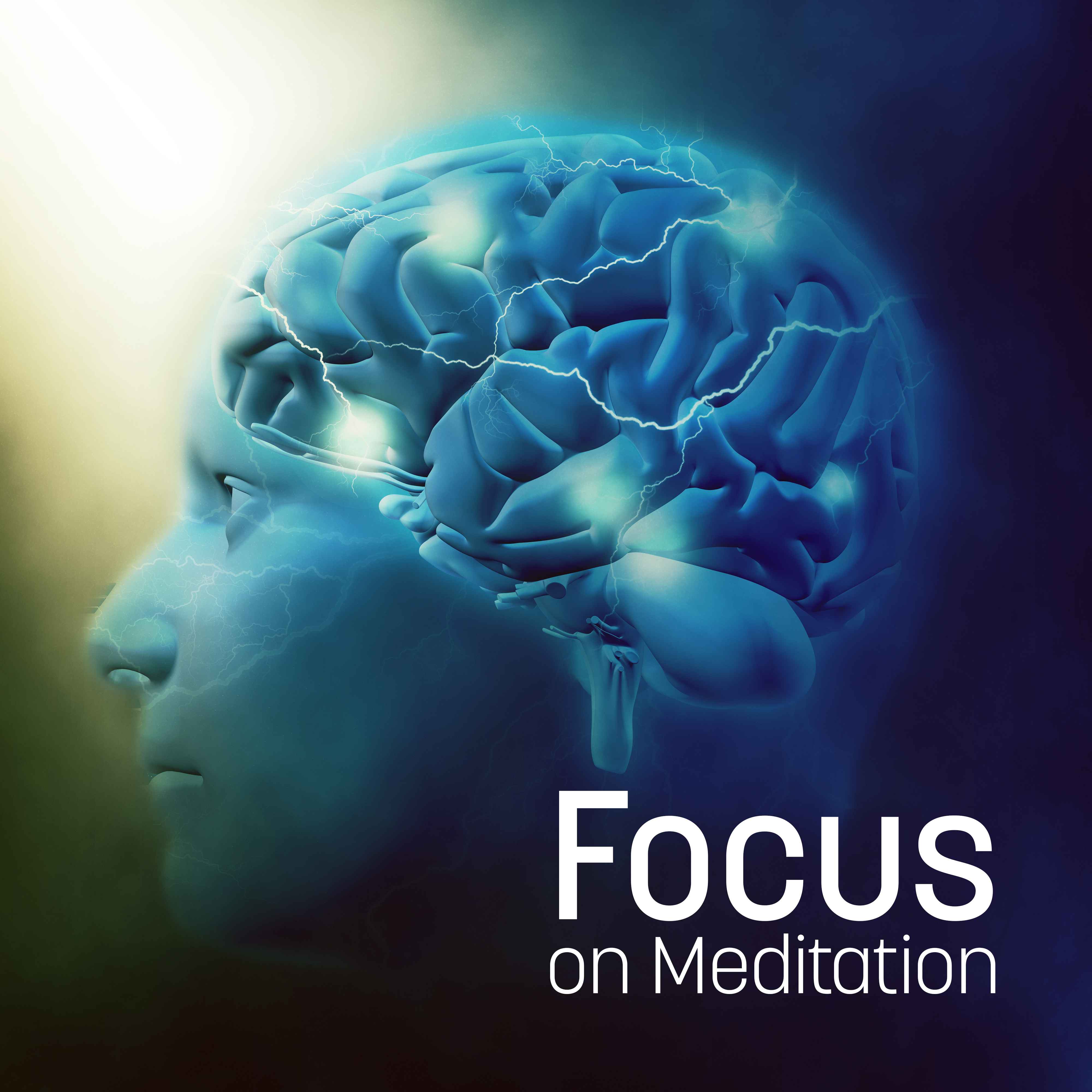 Focus on Meditation