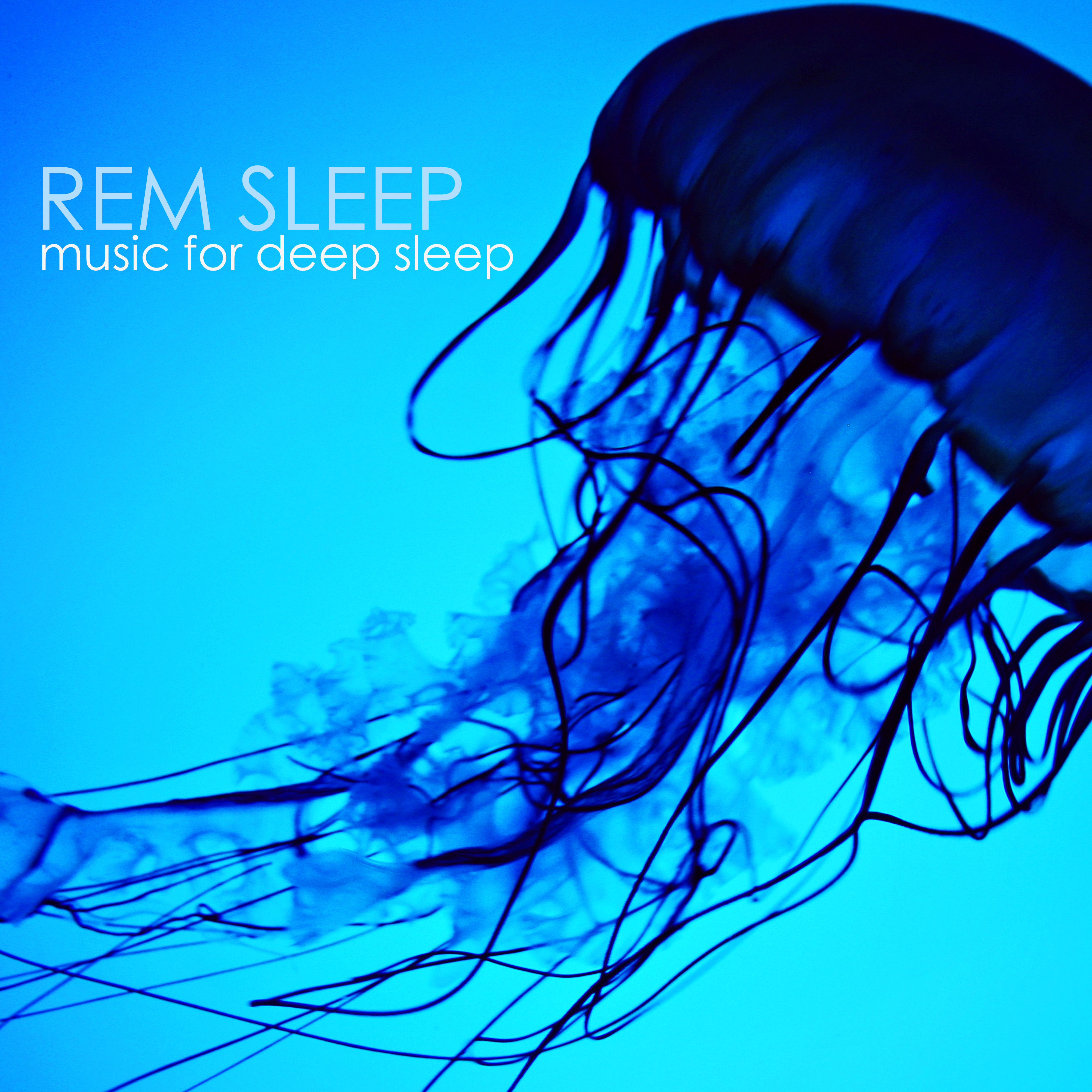 REM Sleep Cycle - Sleep Music to Relax, Soothing Sounds of Nature for Deep Sleep