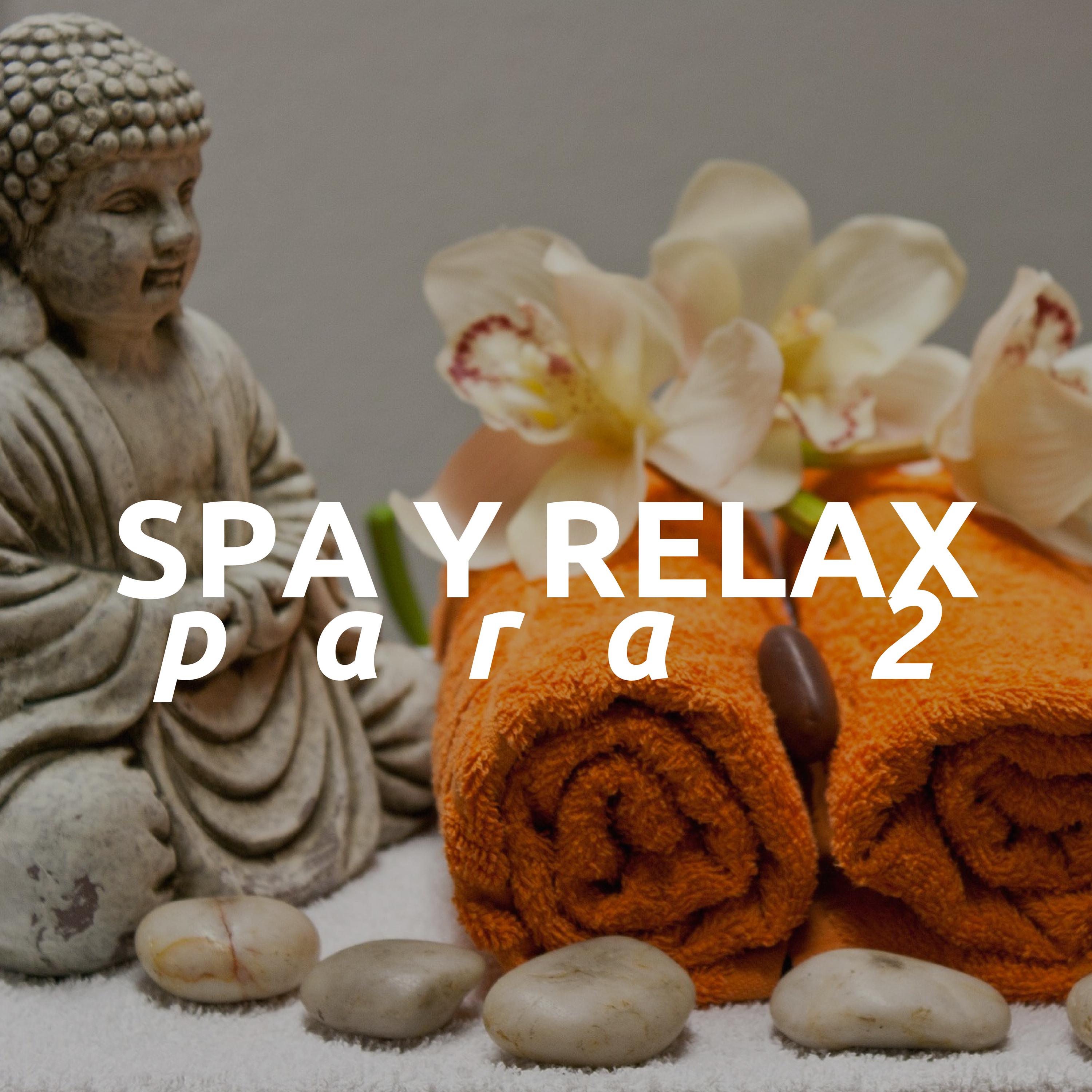 Mejora tus Desequilibrios