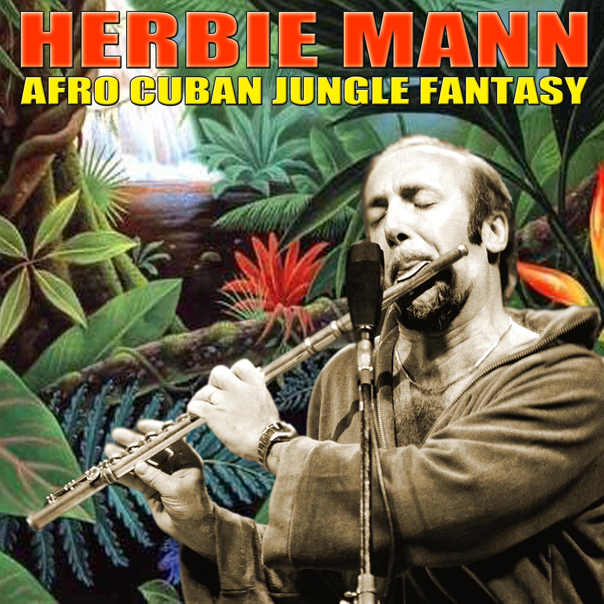 Afro Cuban Jungle Fantasy