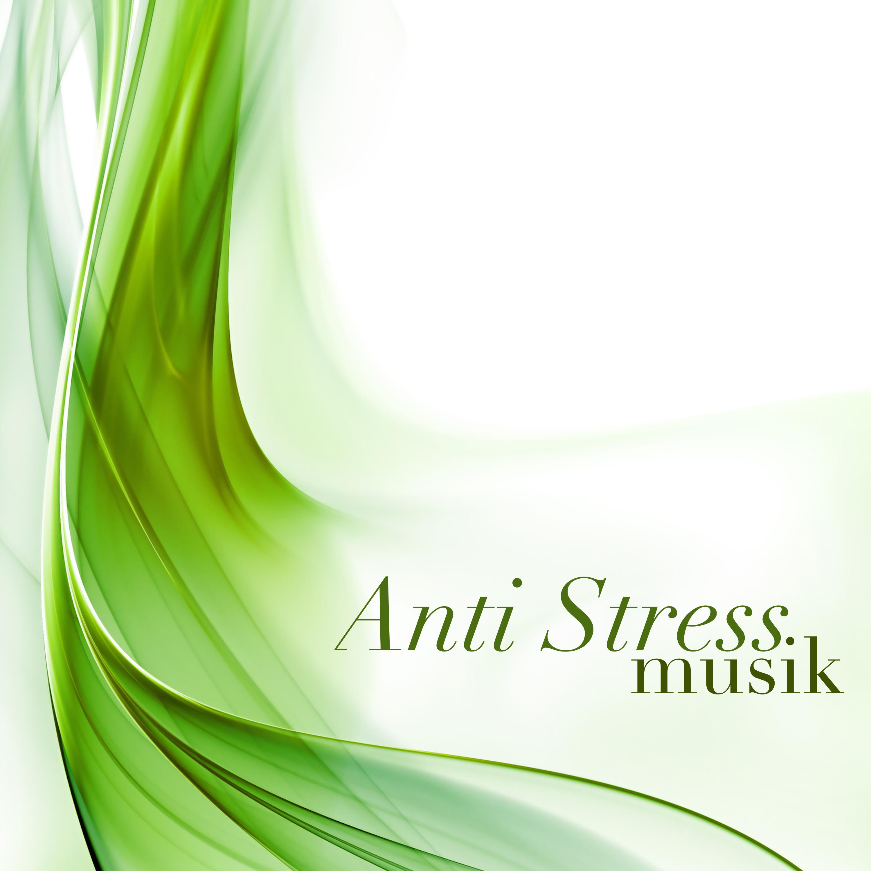 Anti Stress Musik  Meeresrauschen und Vogelgezwitscher zur Entspannung und Wohlfü hlung zum Stress und Angst Abbauen