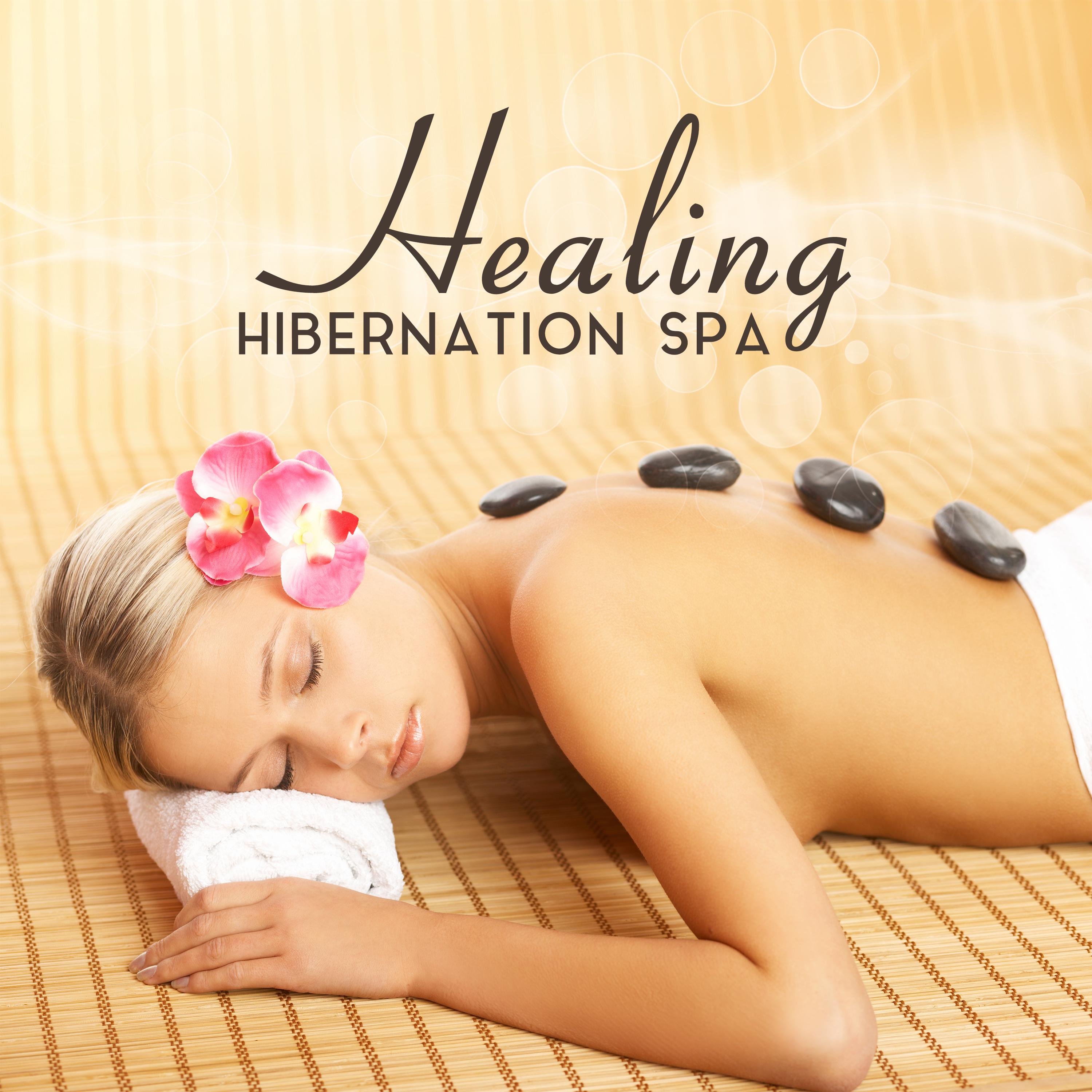 Healing Hibernation Spa