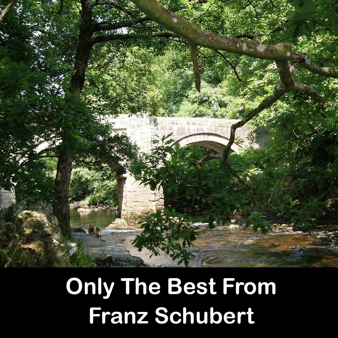 Only The Best From Franz Schubert