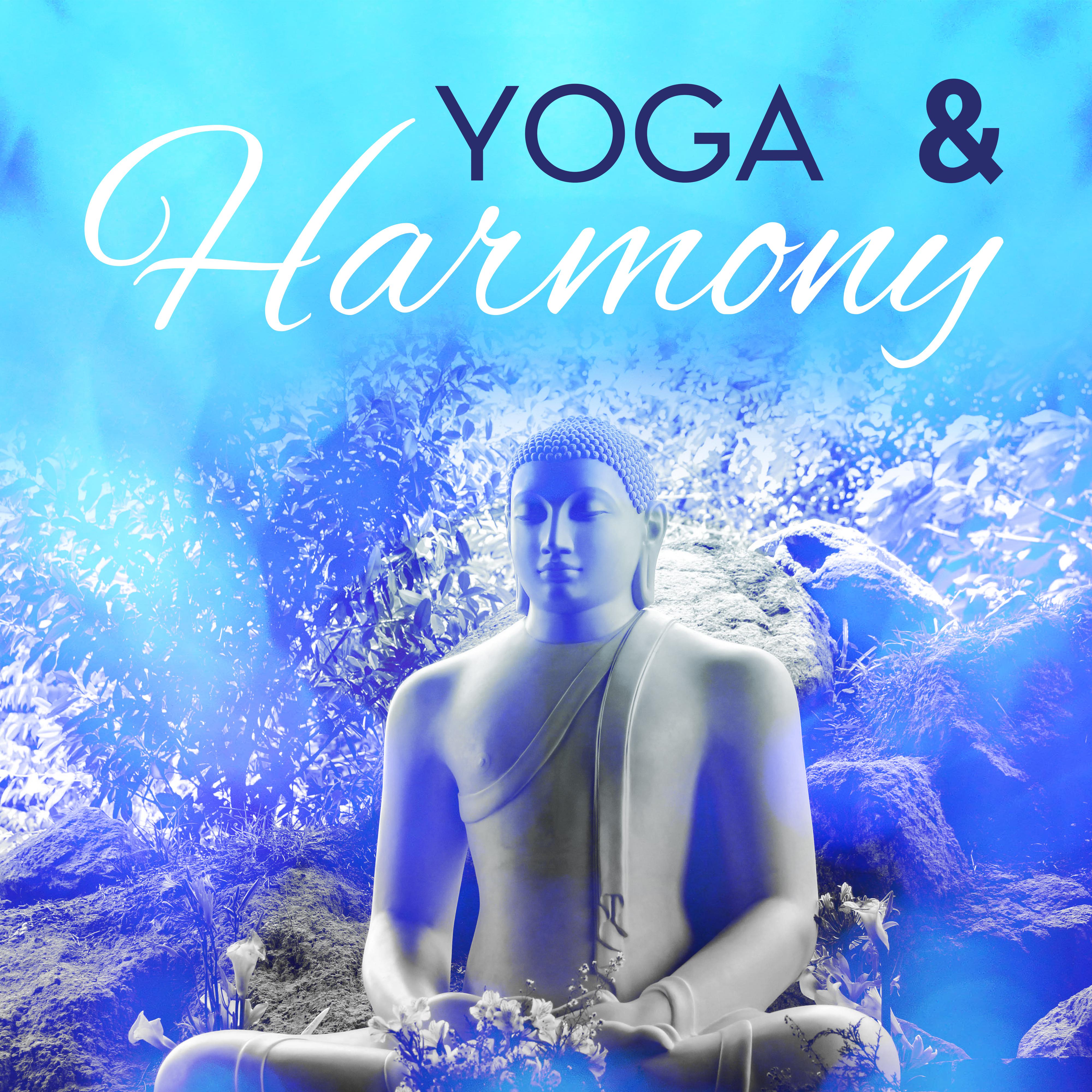 Yoga & Harmony