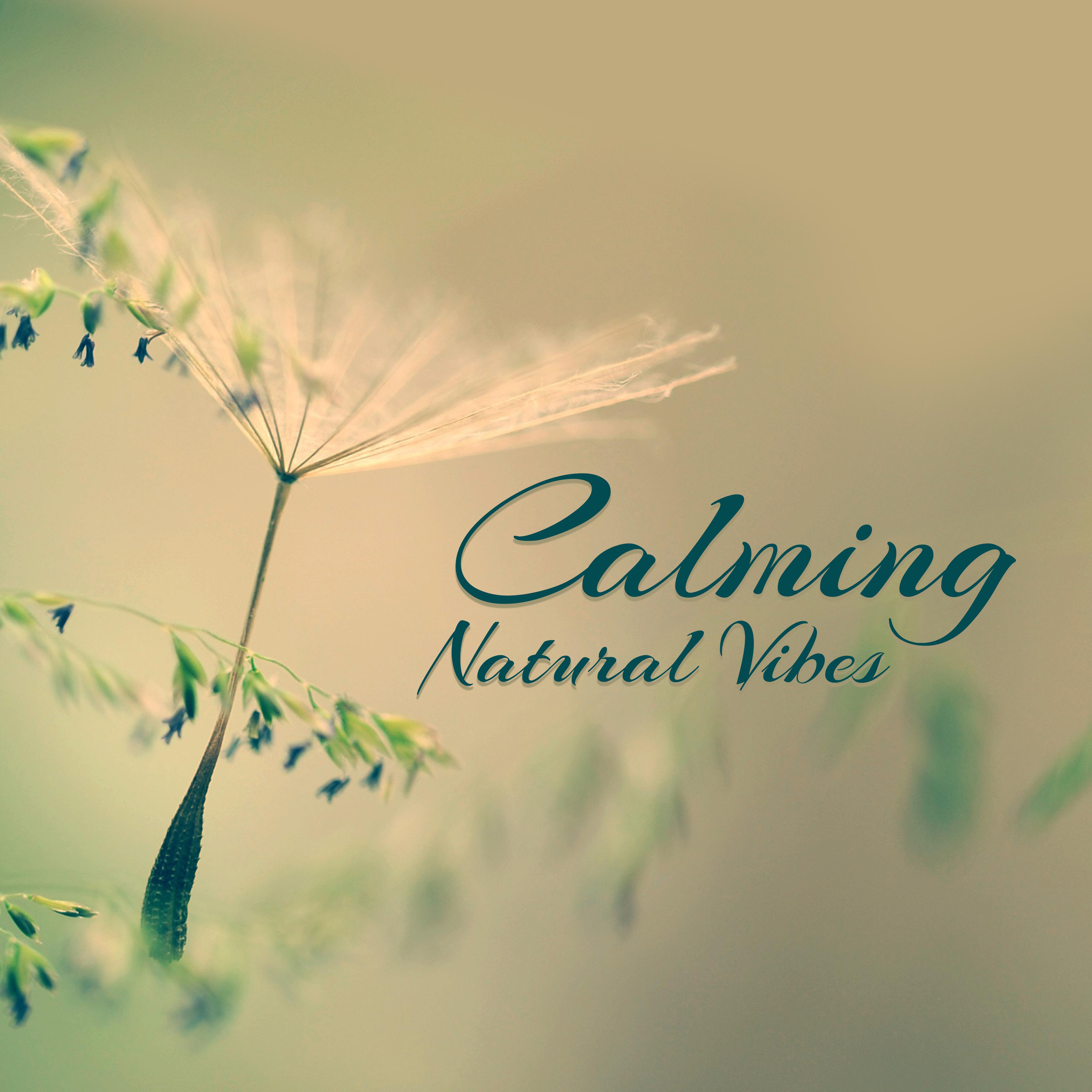 Calming Natural Vibes