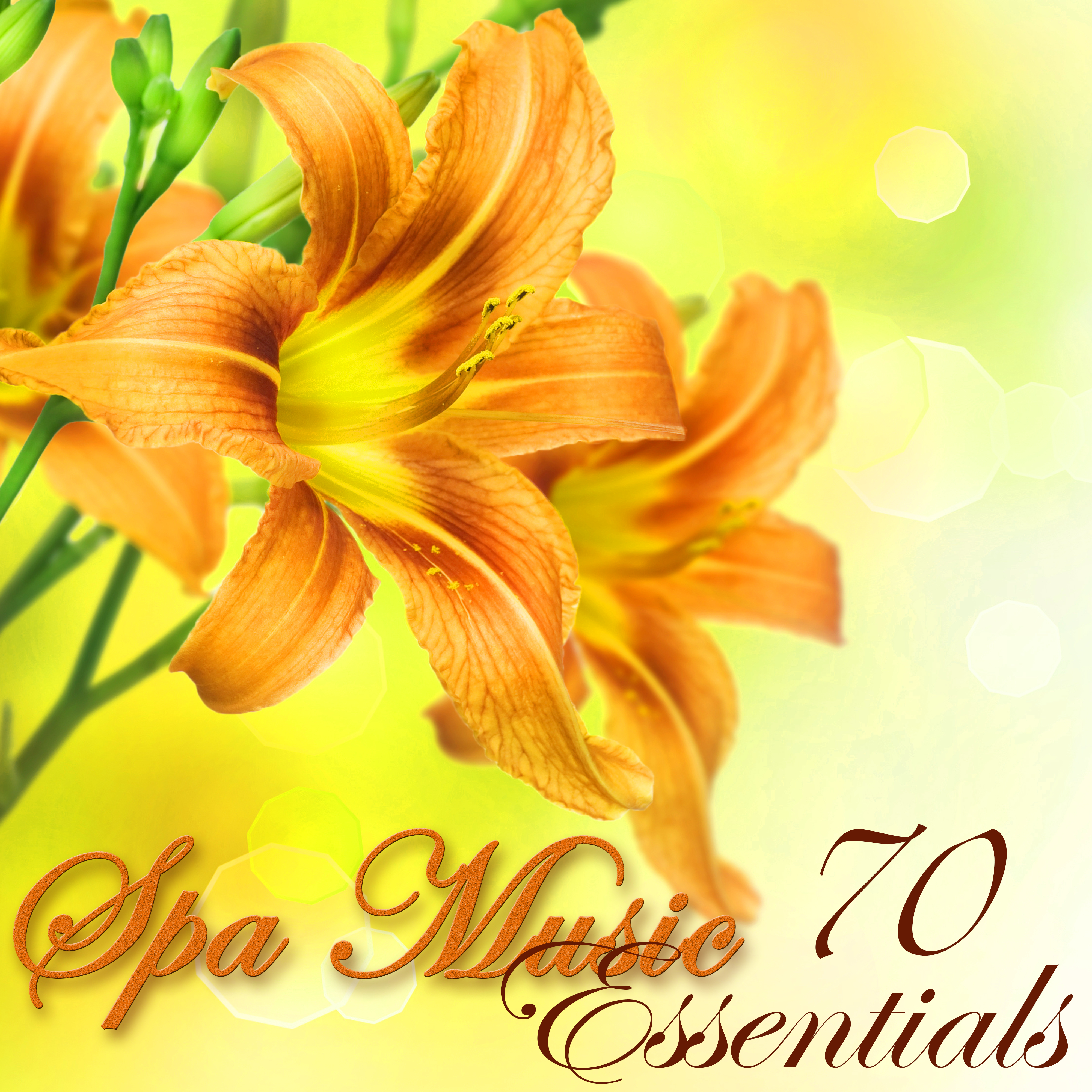 Spa Music Essentials  70 Soothing Spa Sounds for Wellness, Massage, Relaxation, Body Detox, Weight Loss Yoga and Bikini Body Spa Treatments