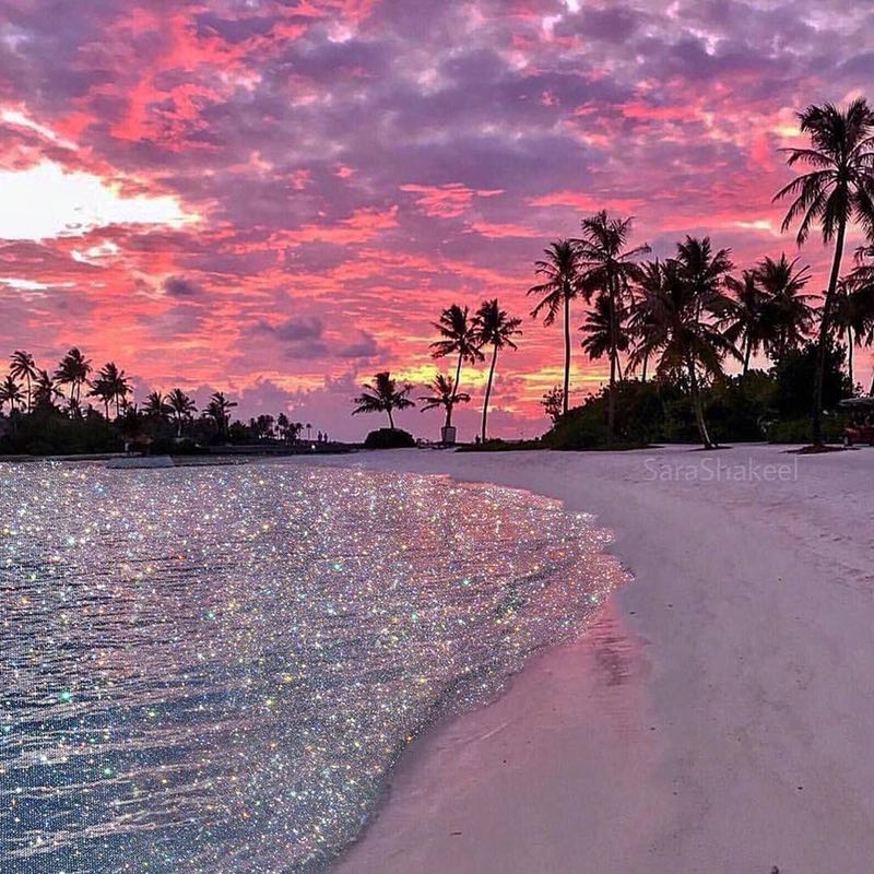 2019 mei li zhong guo xing chun jie lian huan wan hui