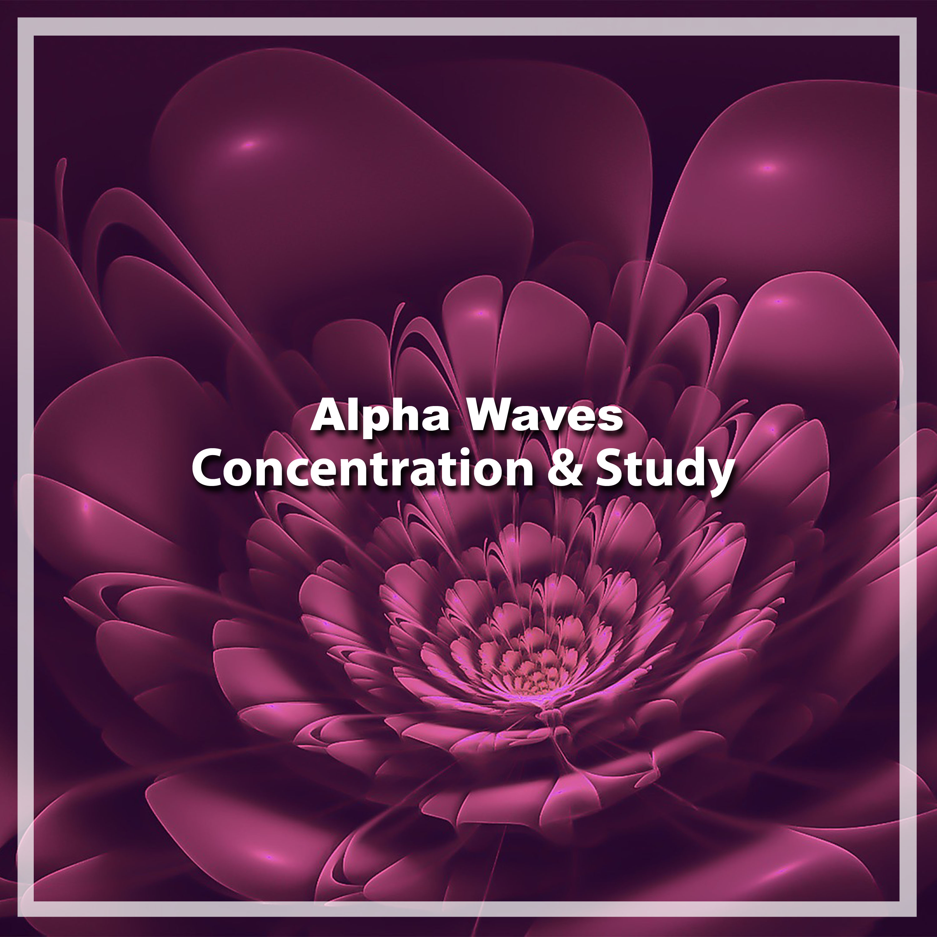 12 Alpha Waves for Concentration and Study Focus