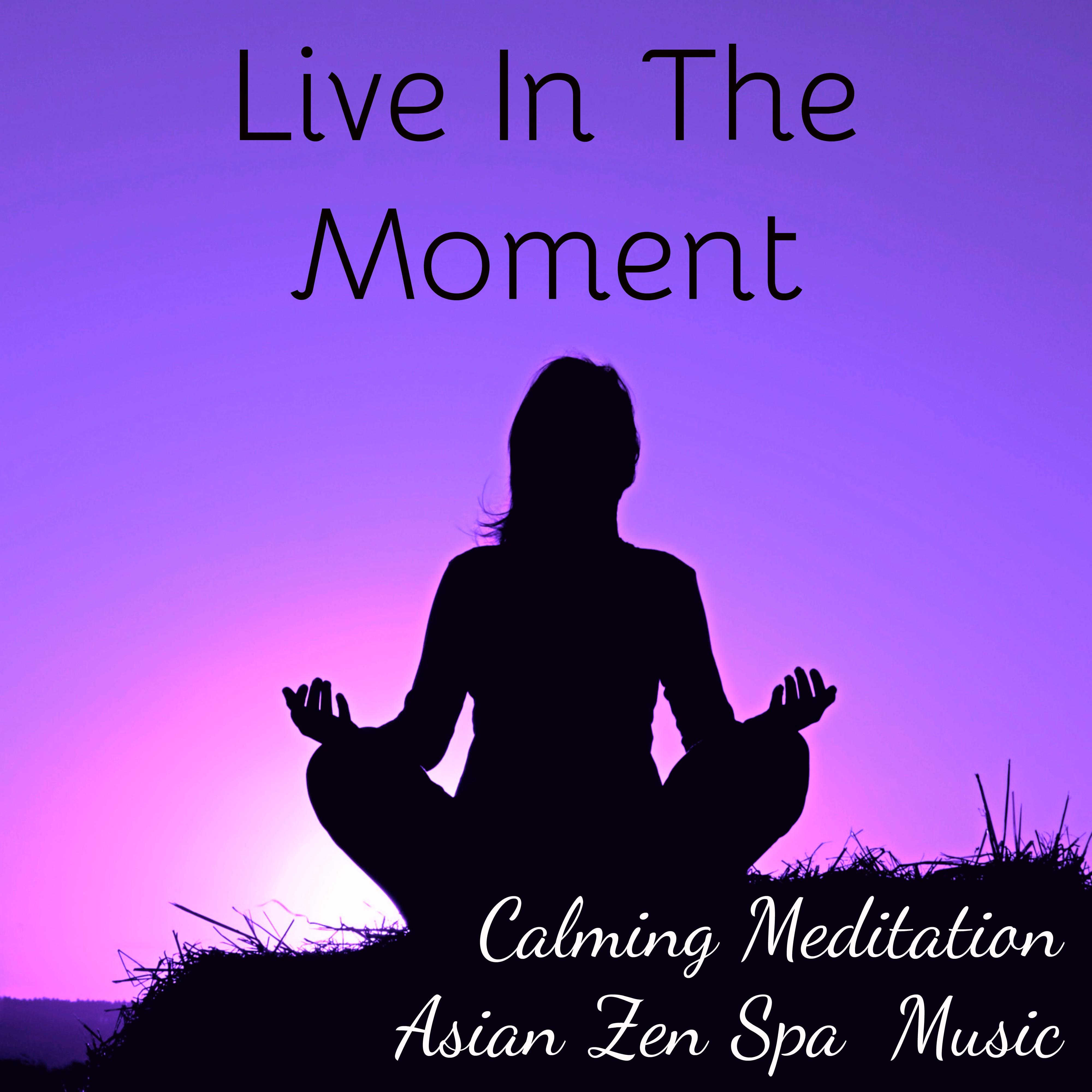 Live In The Moment - Calming Asian Zen Spa Meditation Music for Brilliant Mind Sleep Time and Slow Life