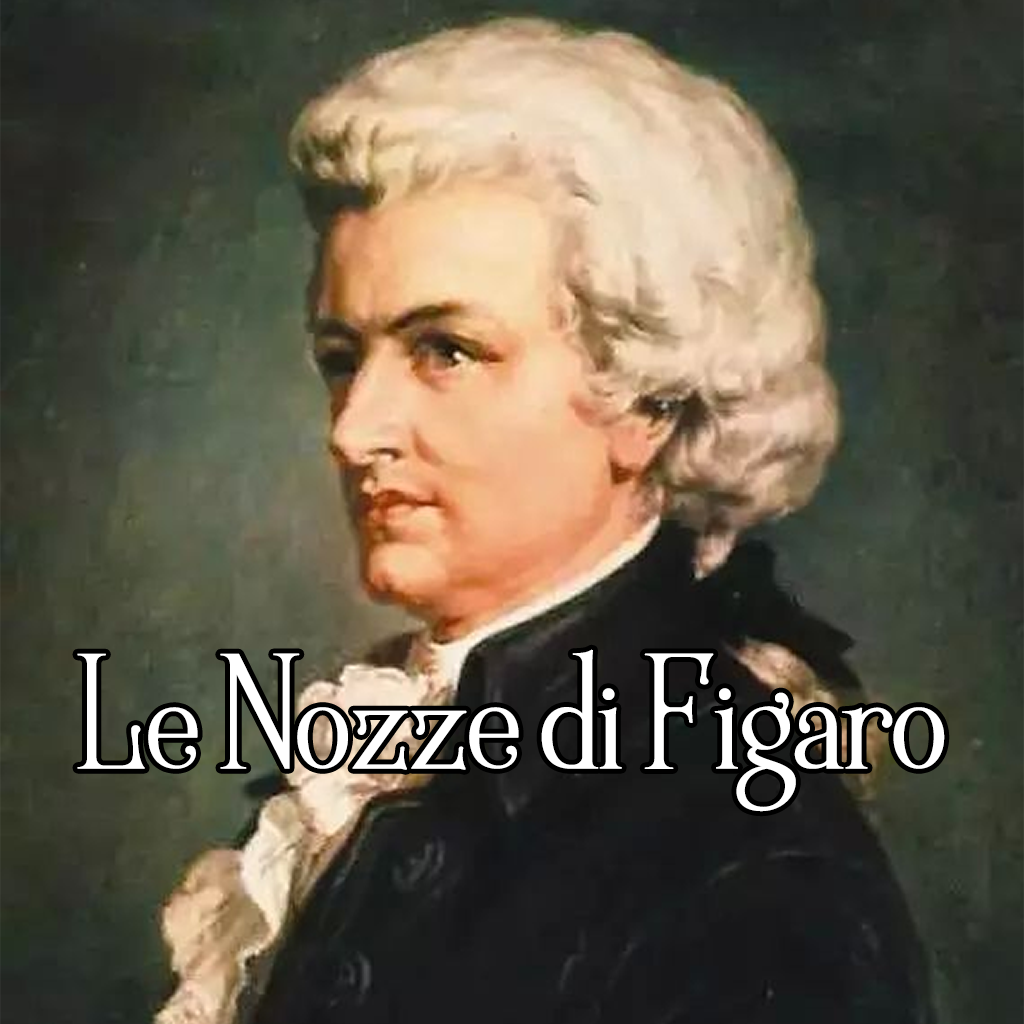 mo zha te: fei jia luo de hun li xu qu