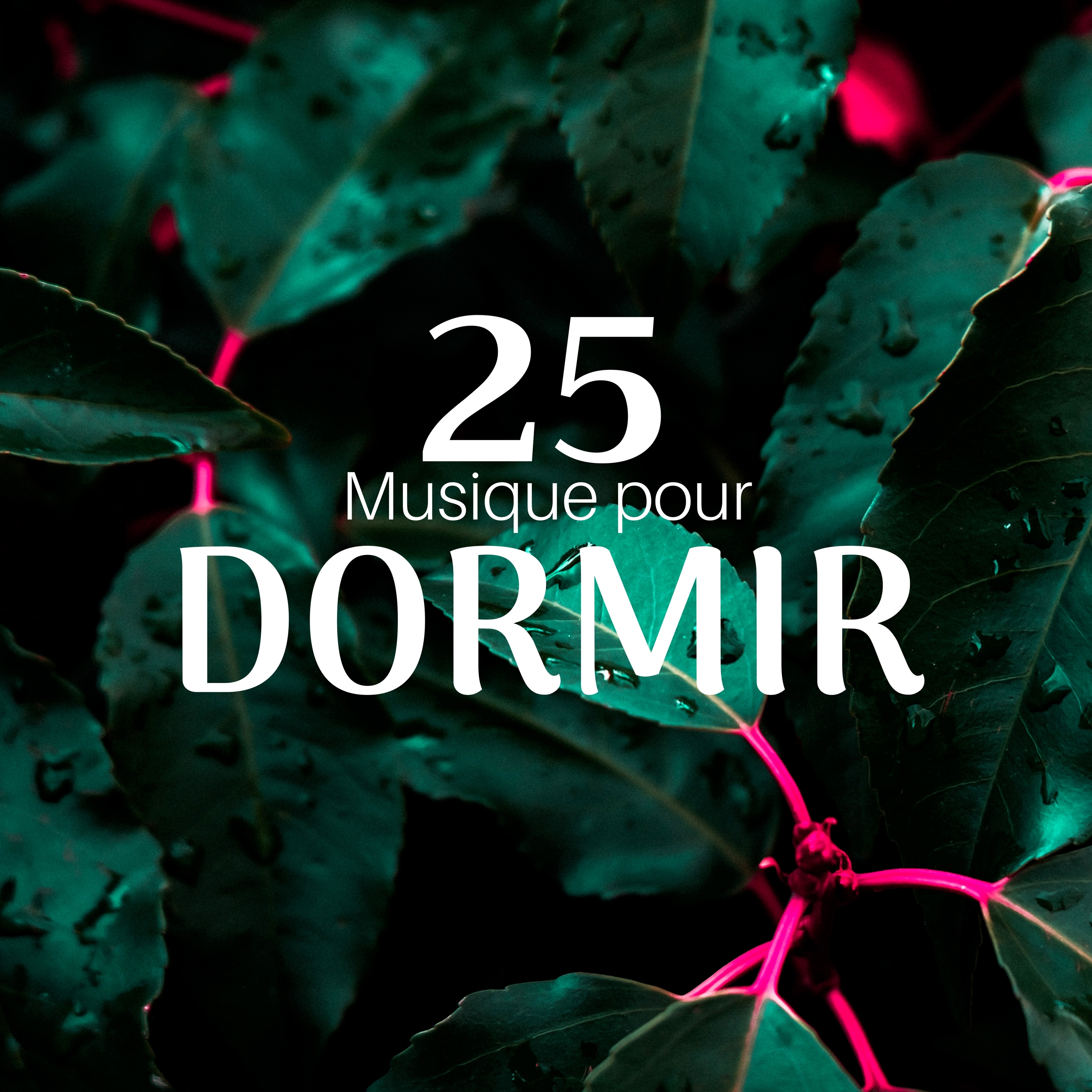 25 Musique pour Dormir, Douce Me moire, Sons de la Nature, Sommeil profond