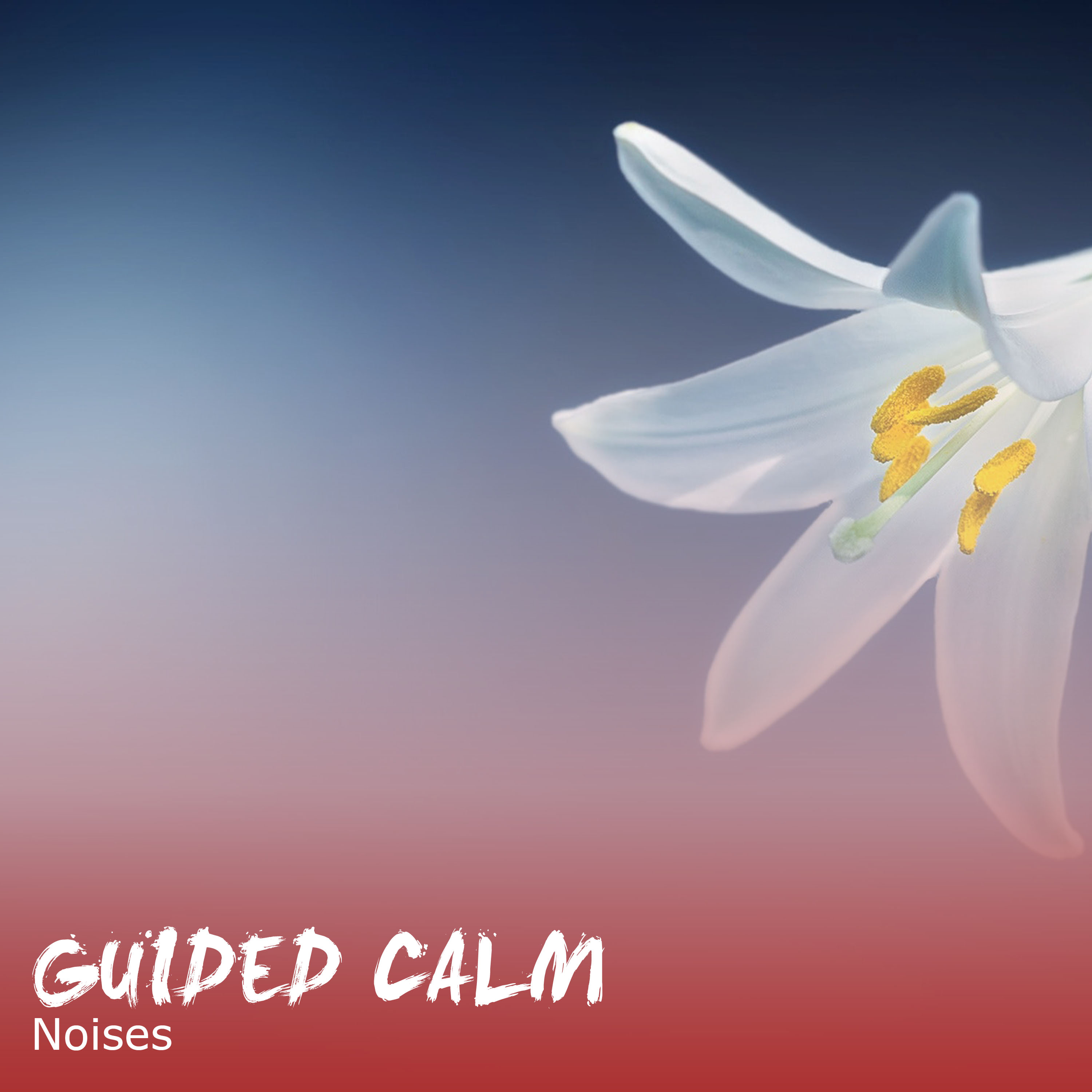 #19 Guided Calm Noises for Meditation and Sleep