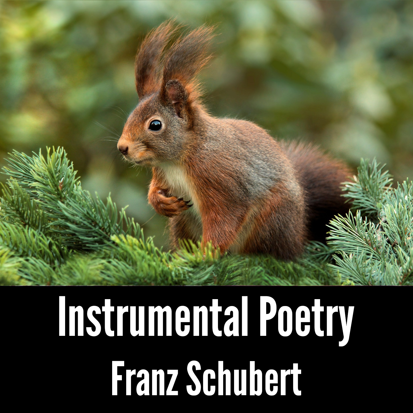 Instrumental Poetry: Franz Schubert