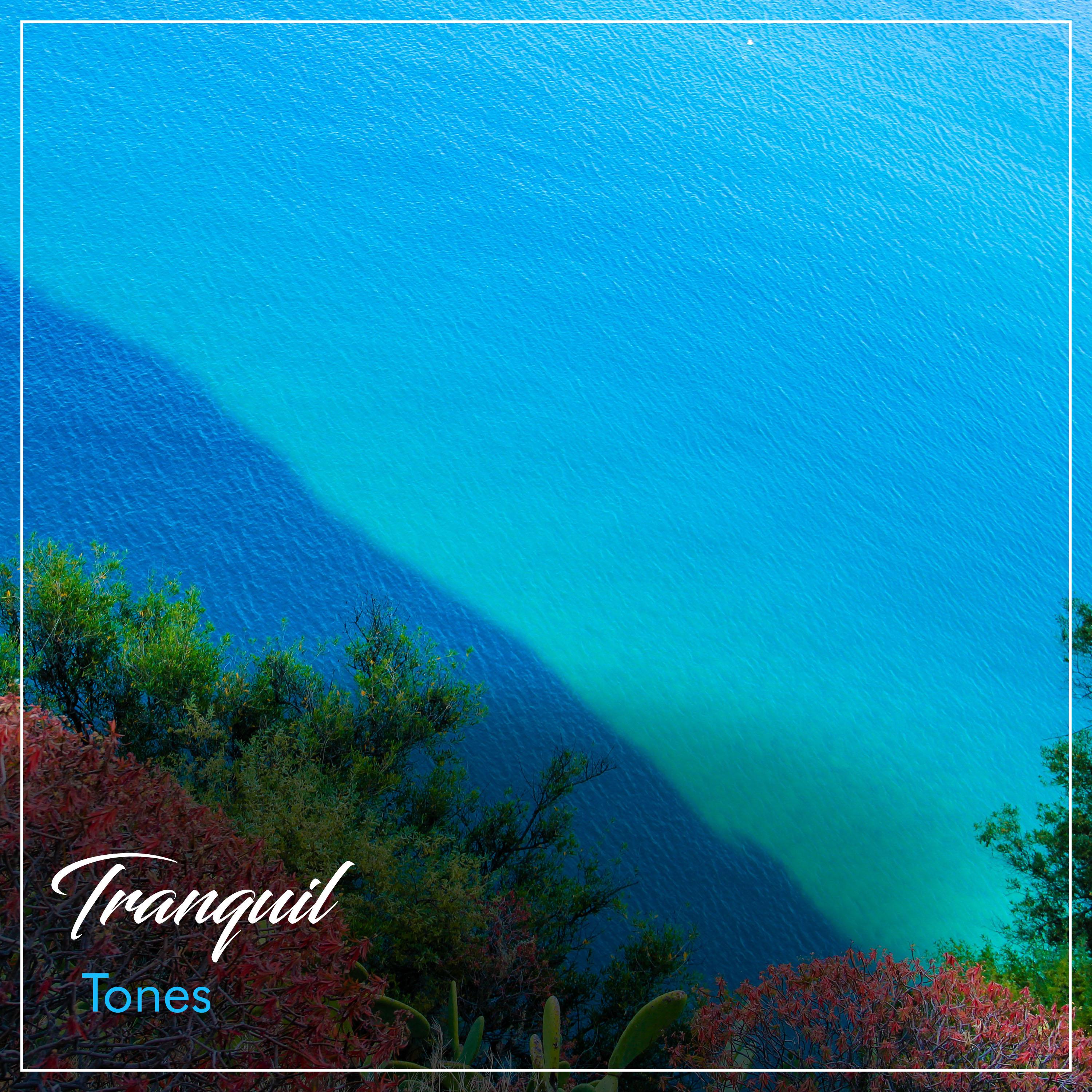 #21 Tranquil Tones for Sleep and Relaxation