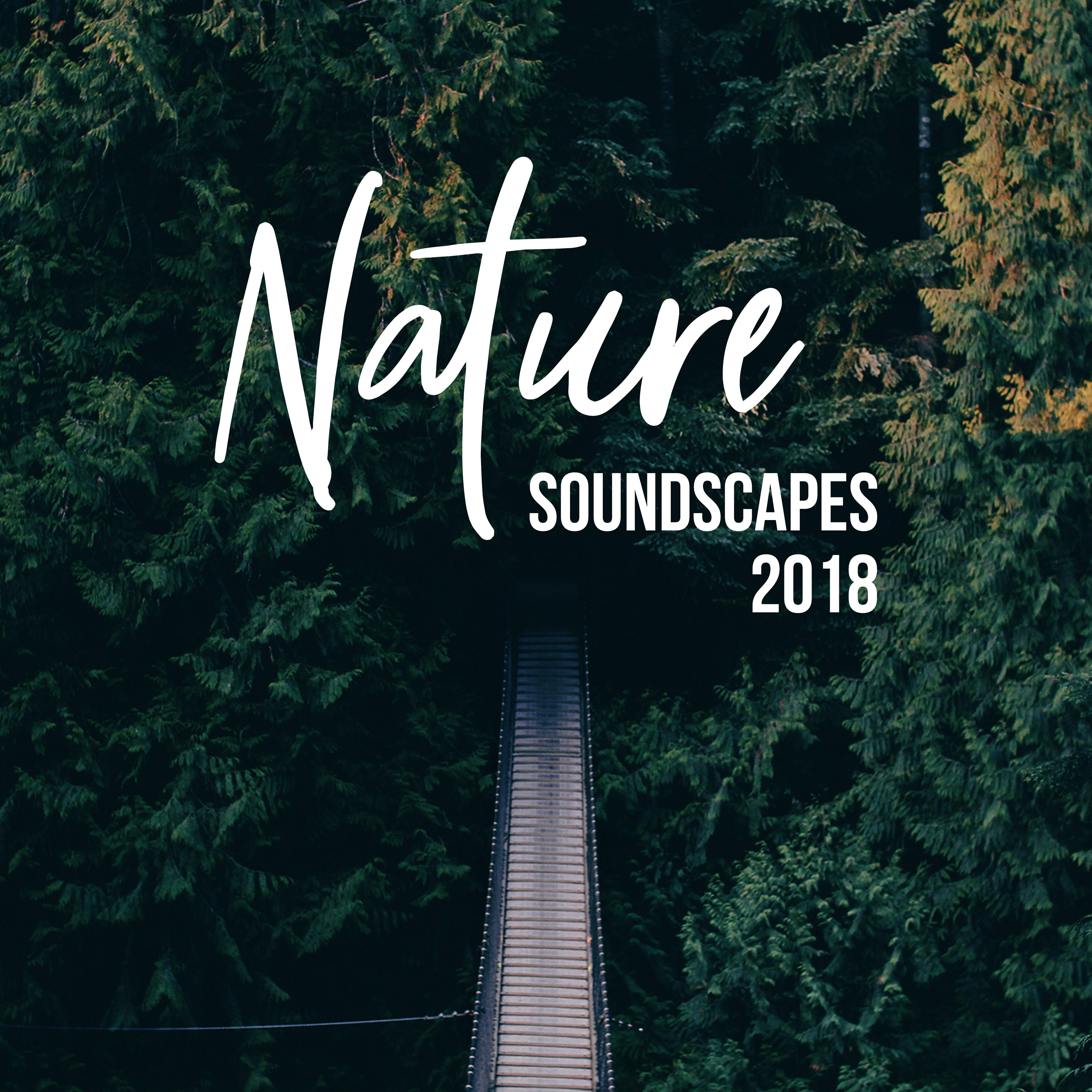 Nature Soundscapes 2018