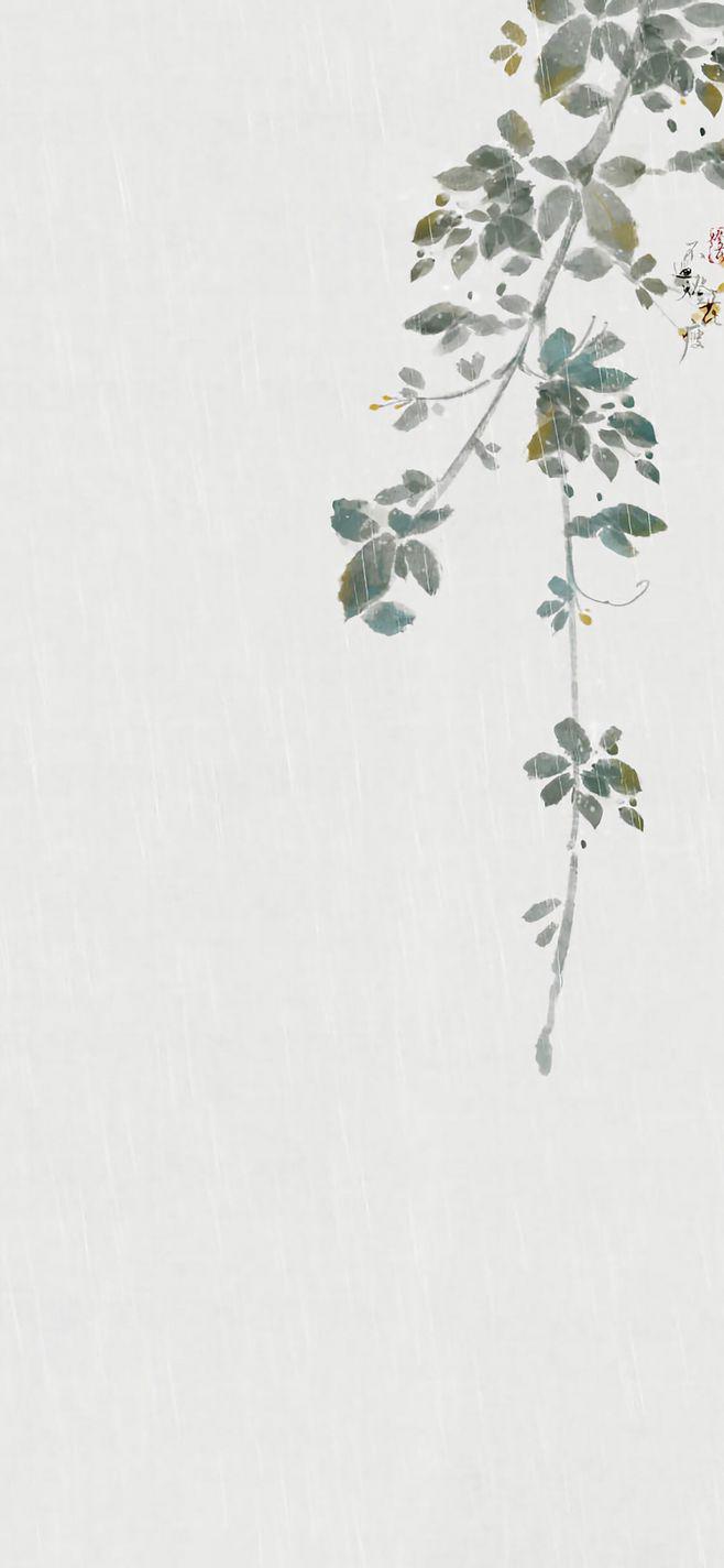 shi tou li zi ce  shu lin