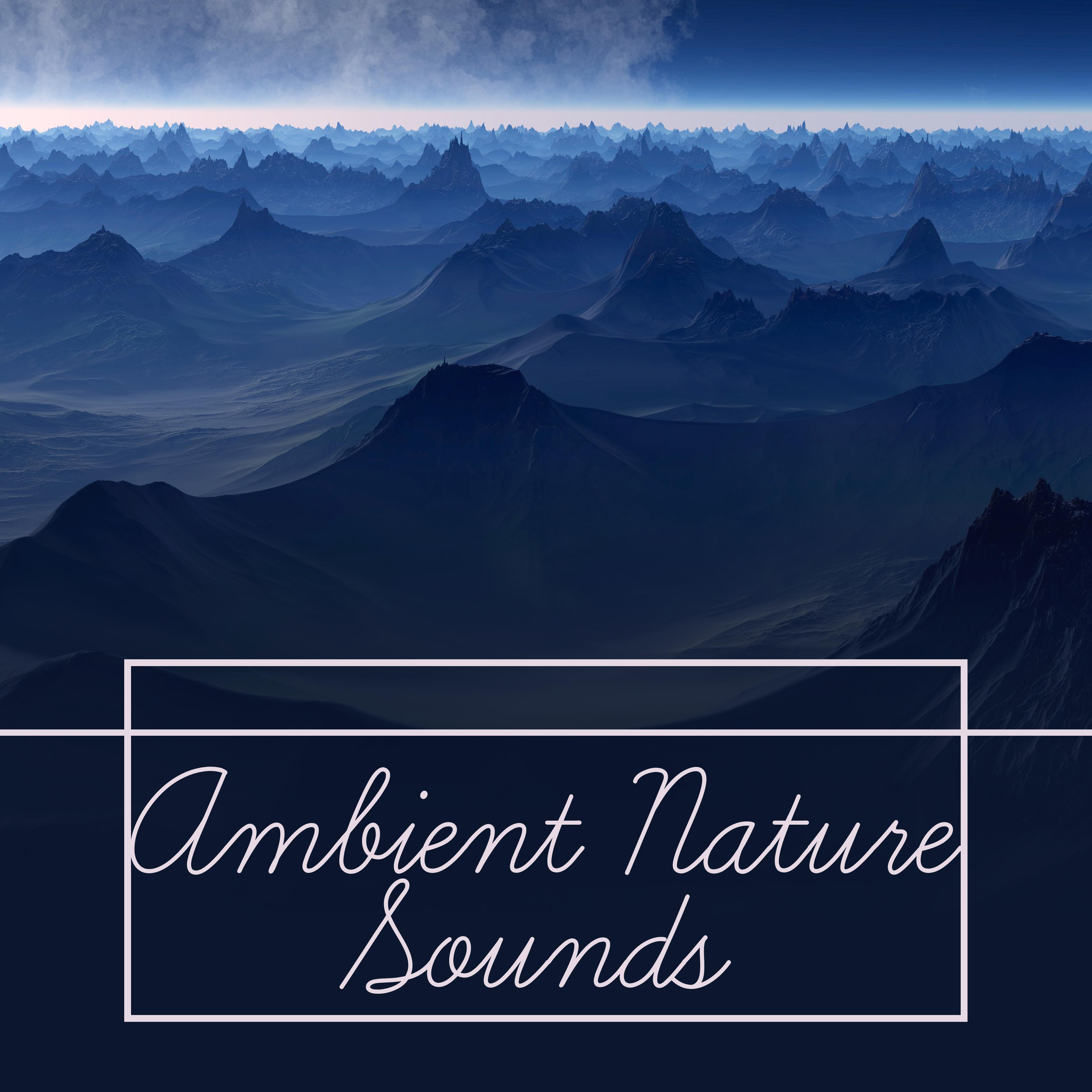 Ambient Nature Sounds  Soft Music for Relaxation, Delicate Rain, Pure Waves, Stress Free, Pure Sleep, Soothing Sounds
