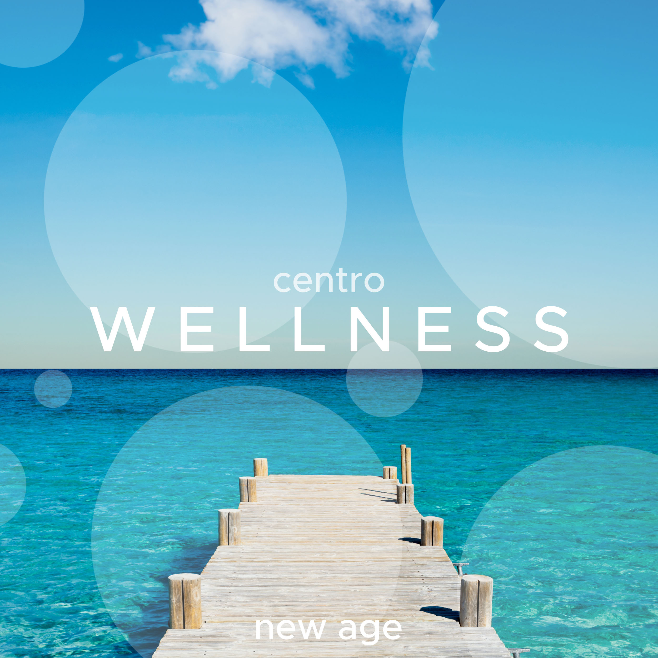 Centro Wellness: Musica Cinese Rilassante