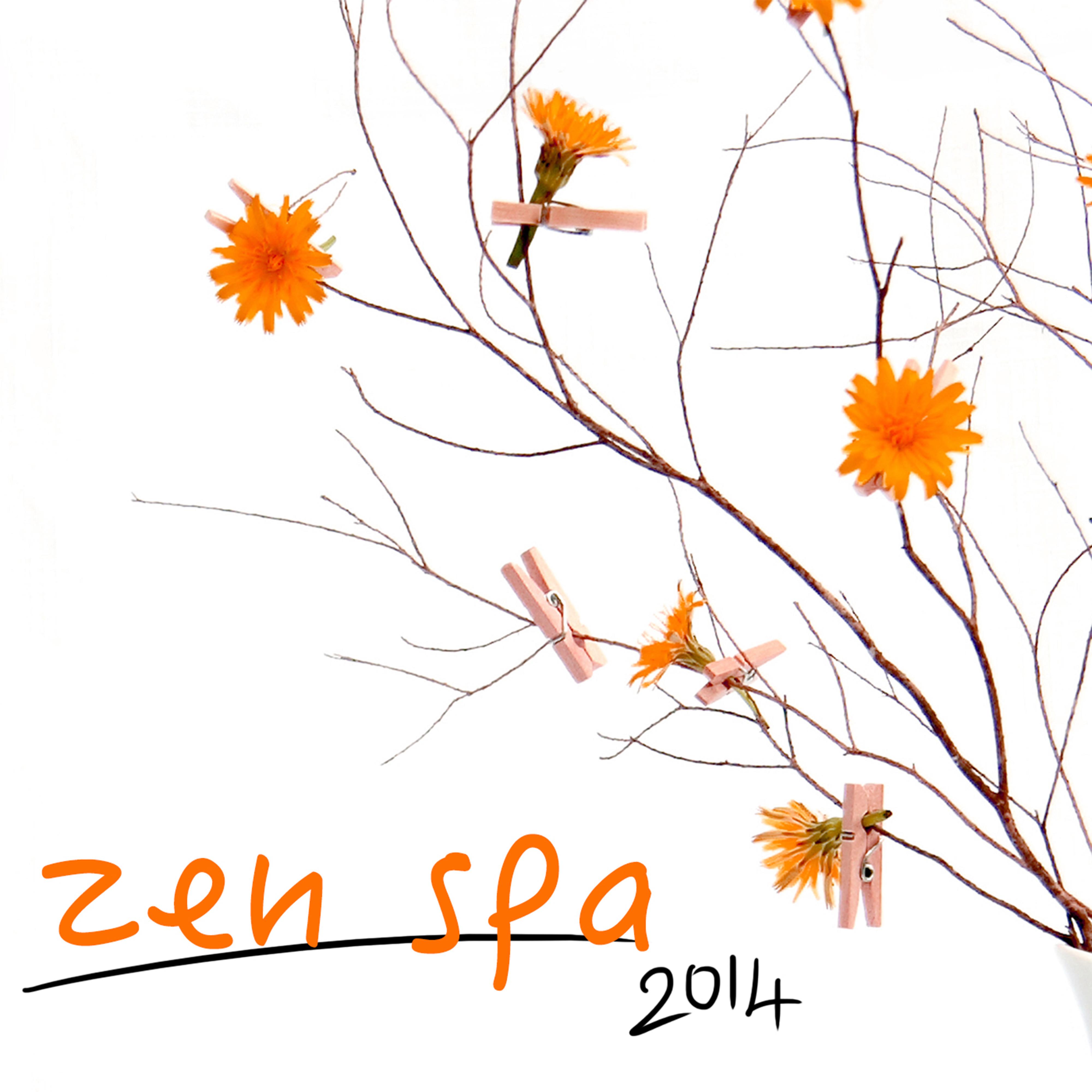 Zen Spa 2014 - Asian Zen Spa Music 4 Relaxation, Meditation, Massage, Yoga, Oriental Meditation Music, Sound Therapy, Restful Sleep & Spa Relaxation