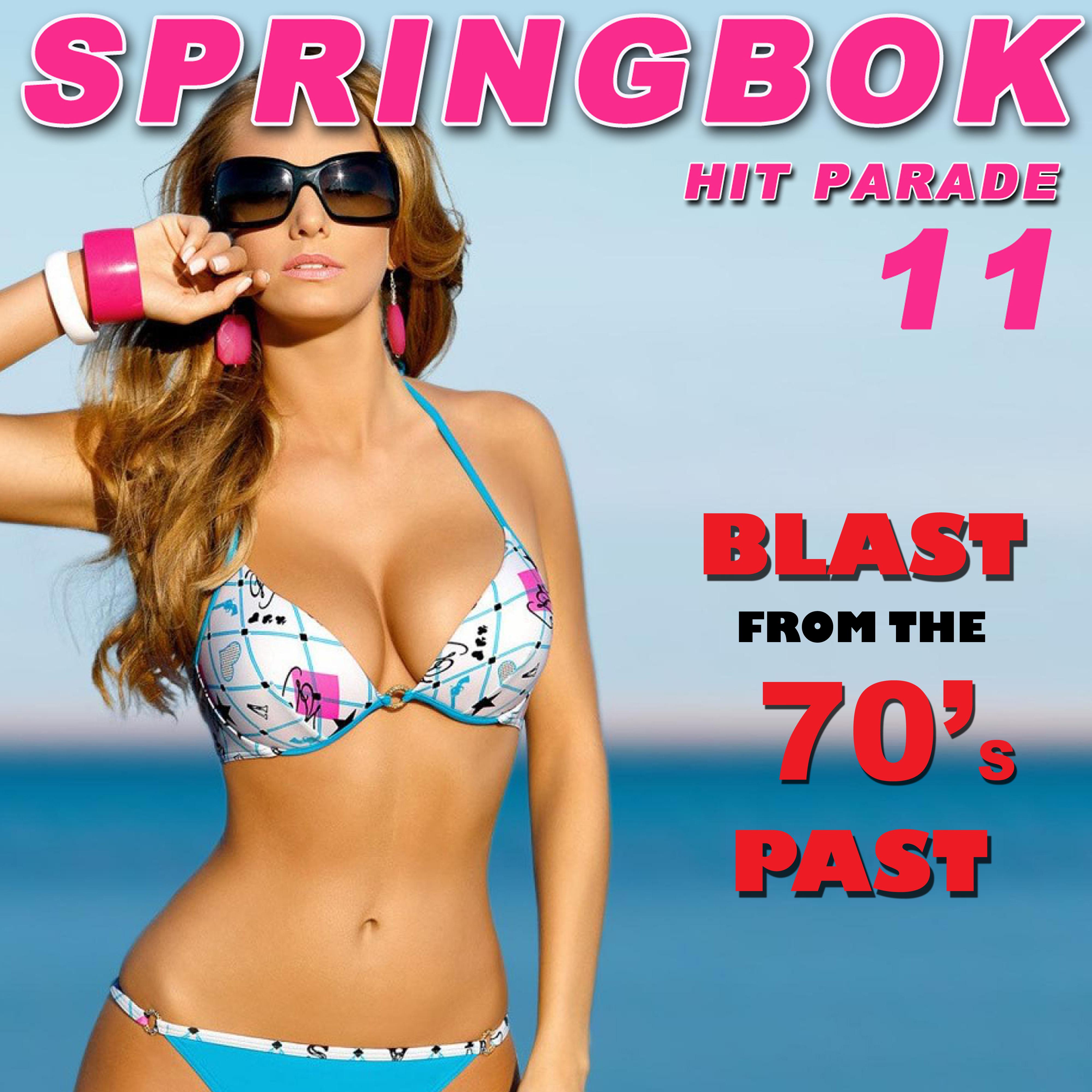Springbok Hit Parade, Vol. 11