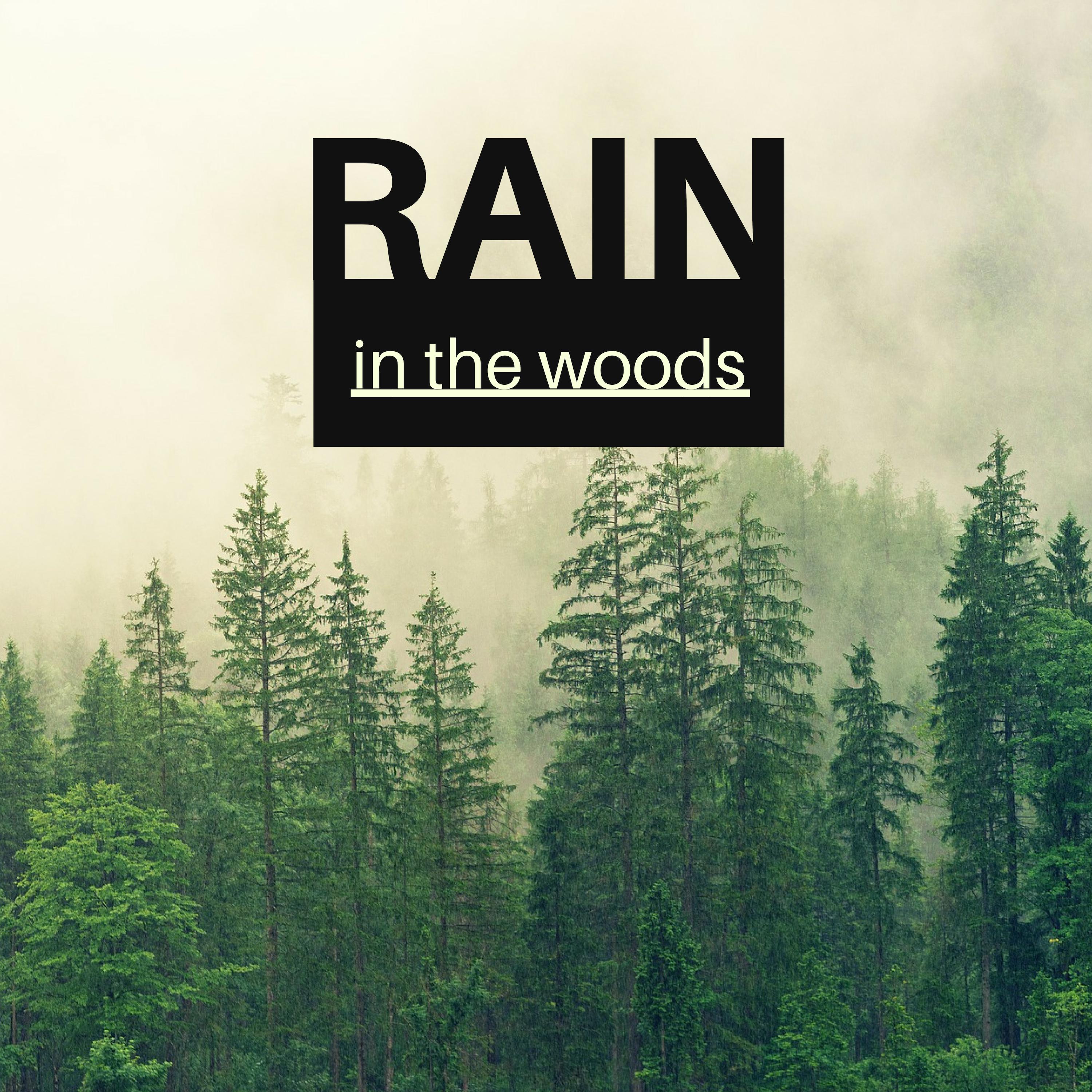 Rain in the Woods - Soft Raindrop, Quiet & Distant Thunder for Deep Relaxation