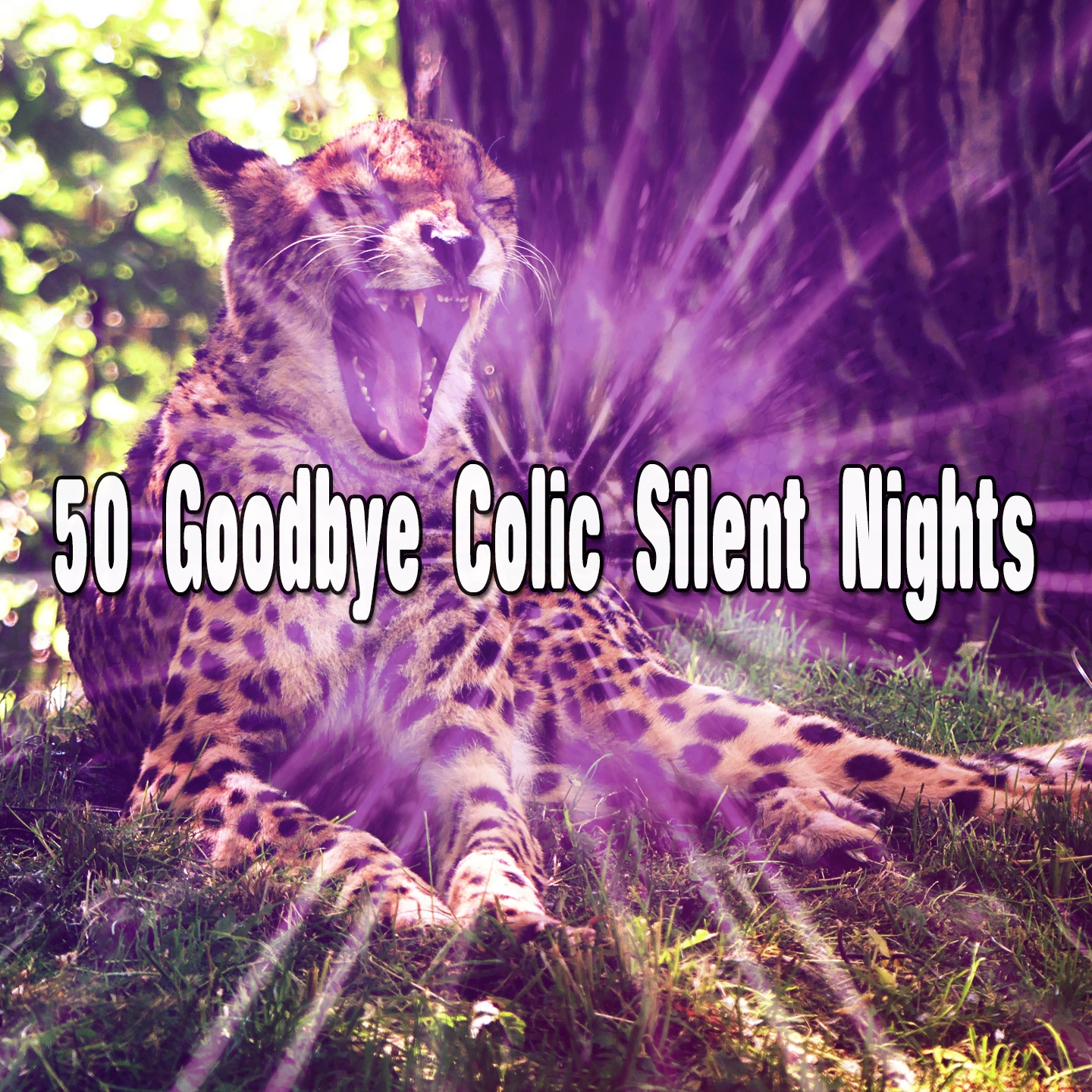 50 Goodbye Colic Silent Nights