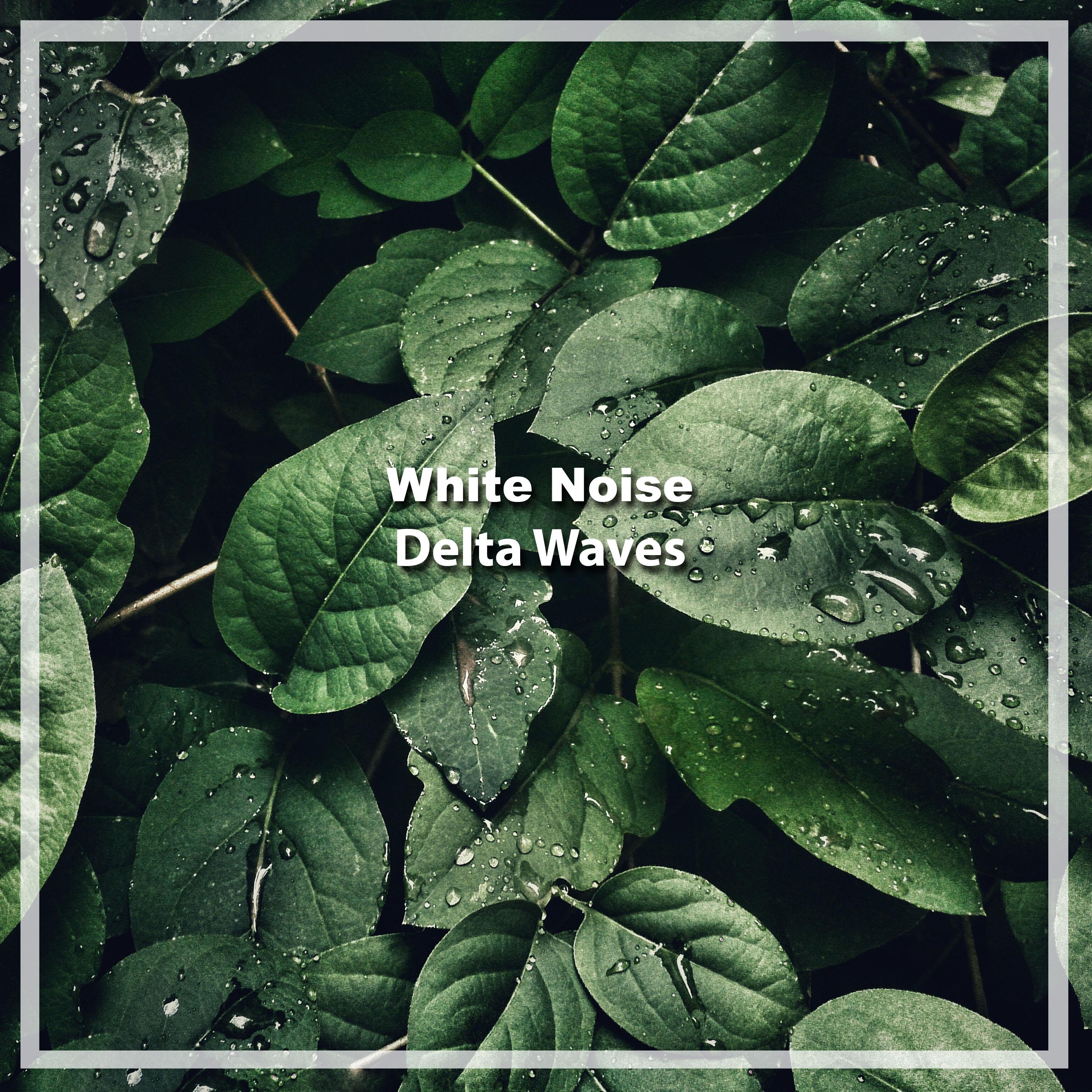 14 White Noises & Delta Waves