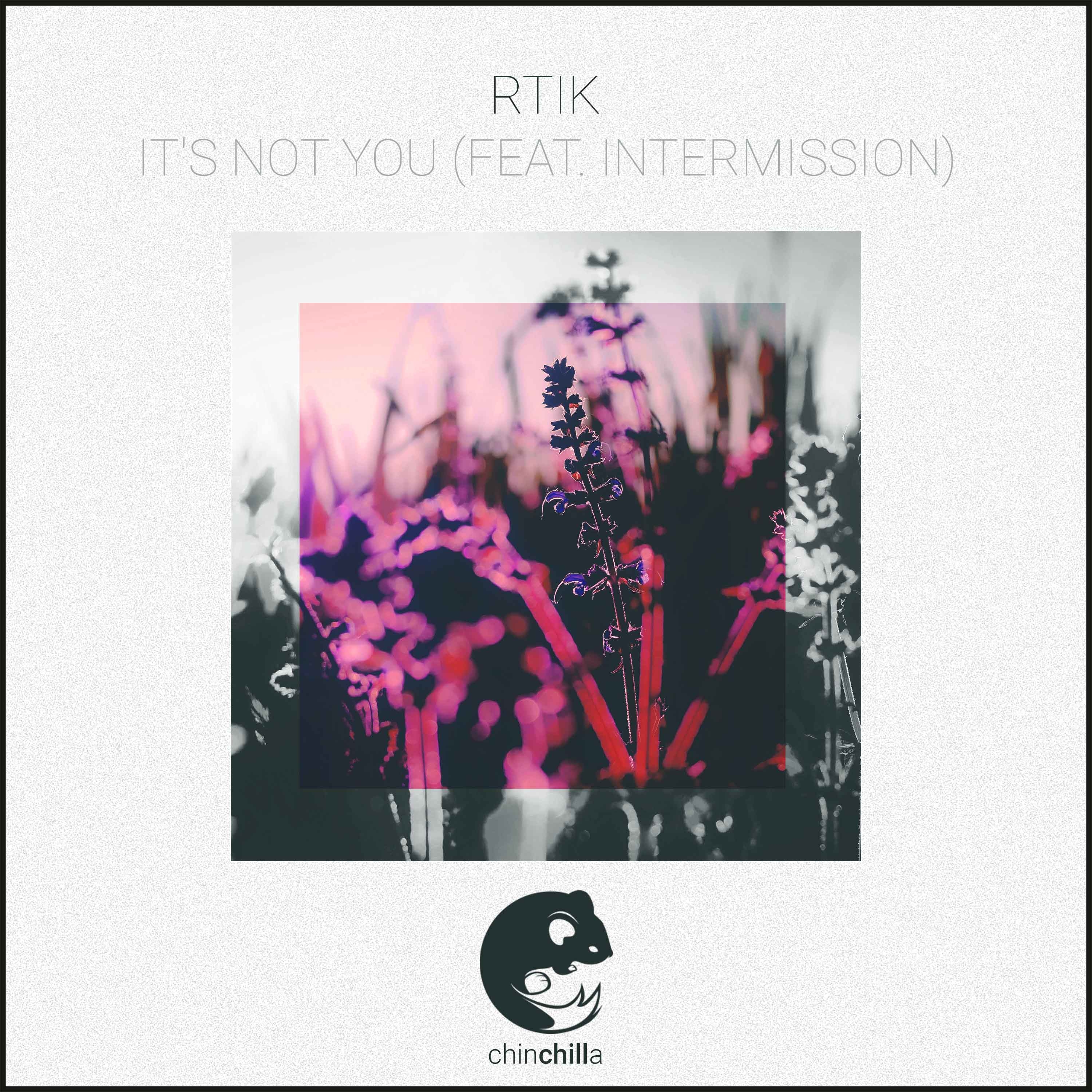 It's Not You (feat. Intermission)