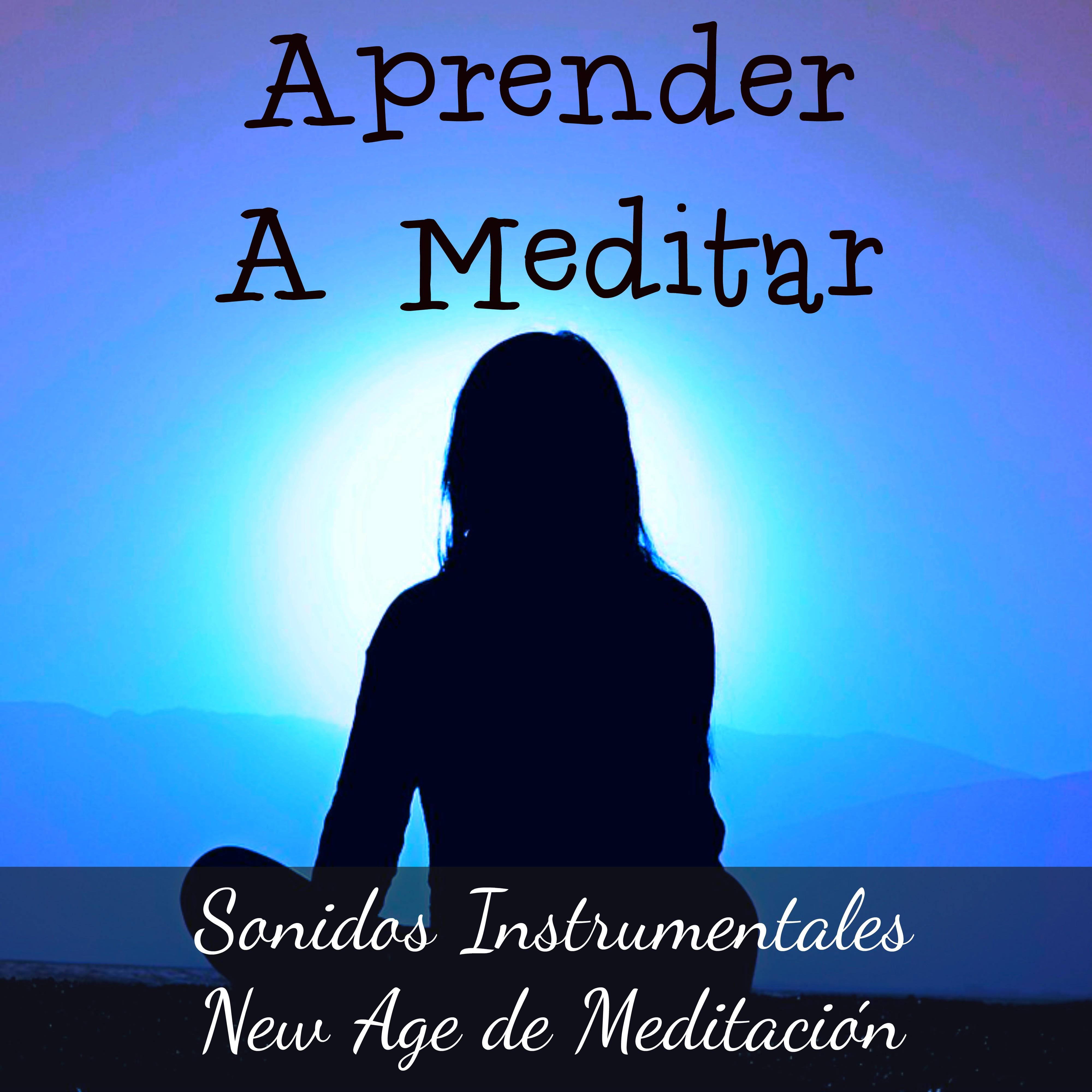 Aprender A Meditar  Musica Curativa para Ejercicio Intelectual Alinear Chakras y Sanacio n Espiritual con Sonidos Instrumentales New Age de Meditacio n