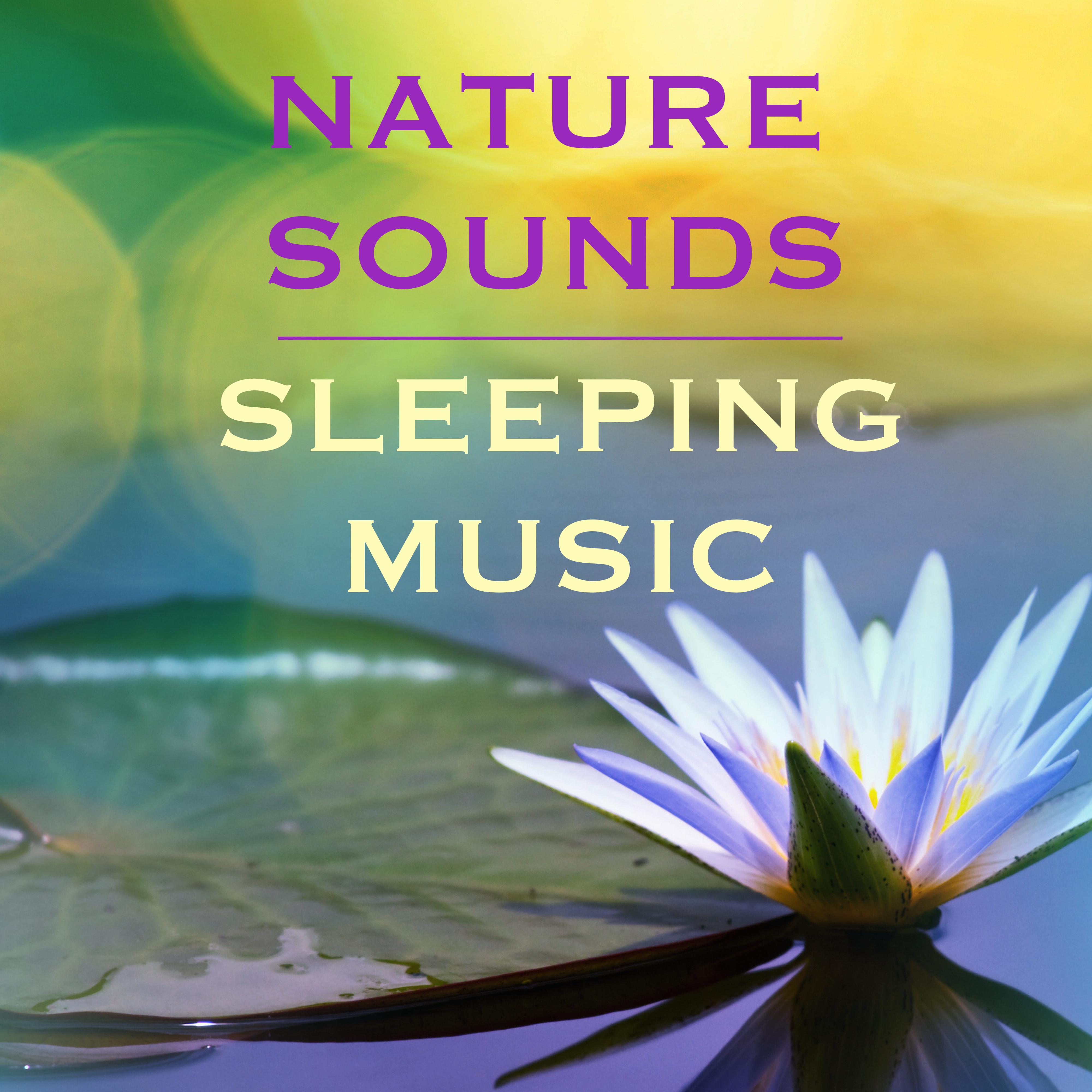 Nature Sounds  Sleeping Music: Water Sounds for Deep Meditation, Yoga Stress Relief and Sleep Soundly