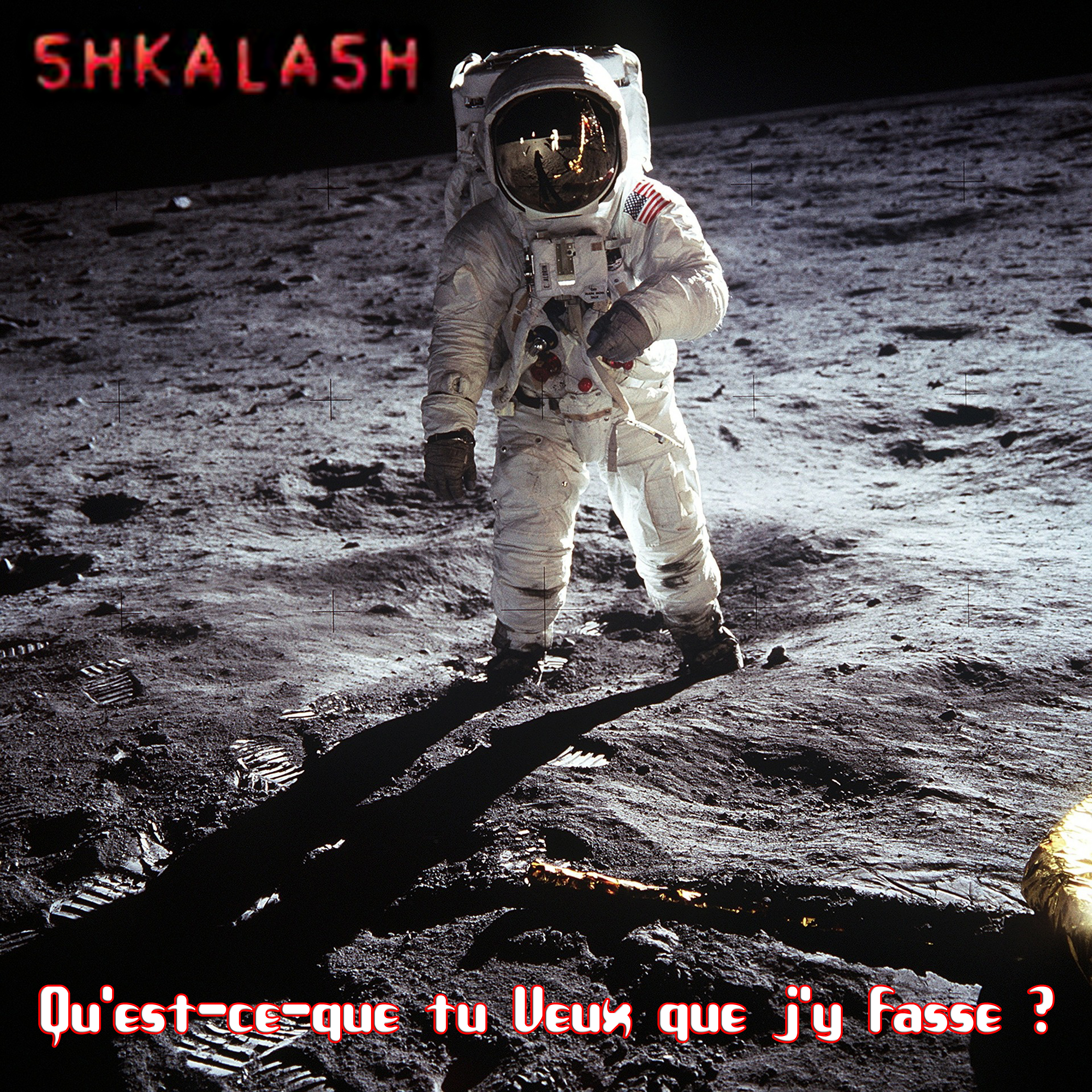 Qu'est-ce-que tu Veux que j'y Fasse ?