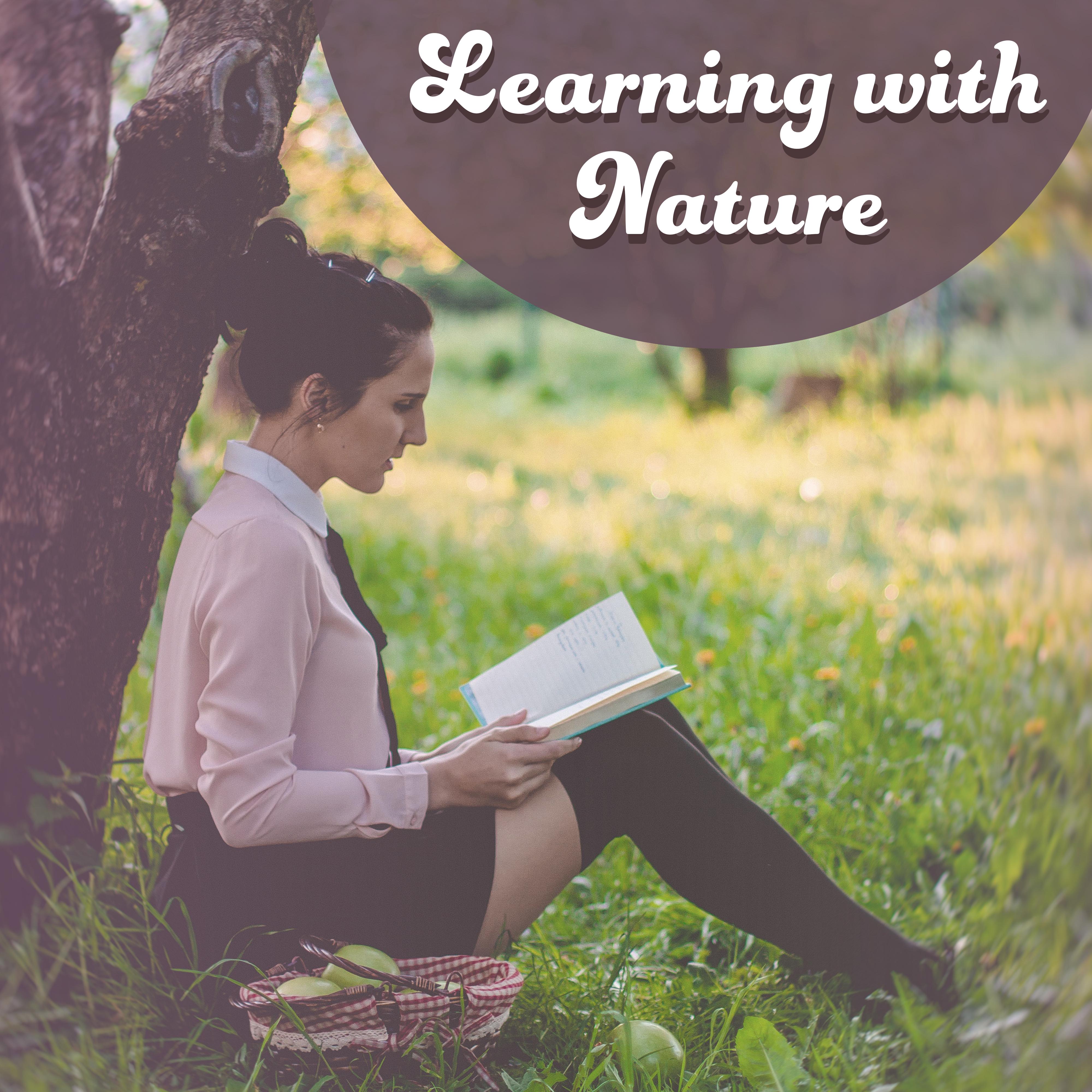 Learning with Nature  New Age Music for Study, Better Concentration, Stress Free, Focus, Good Memory