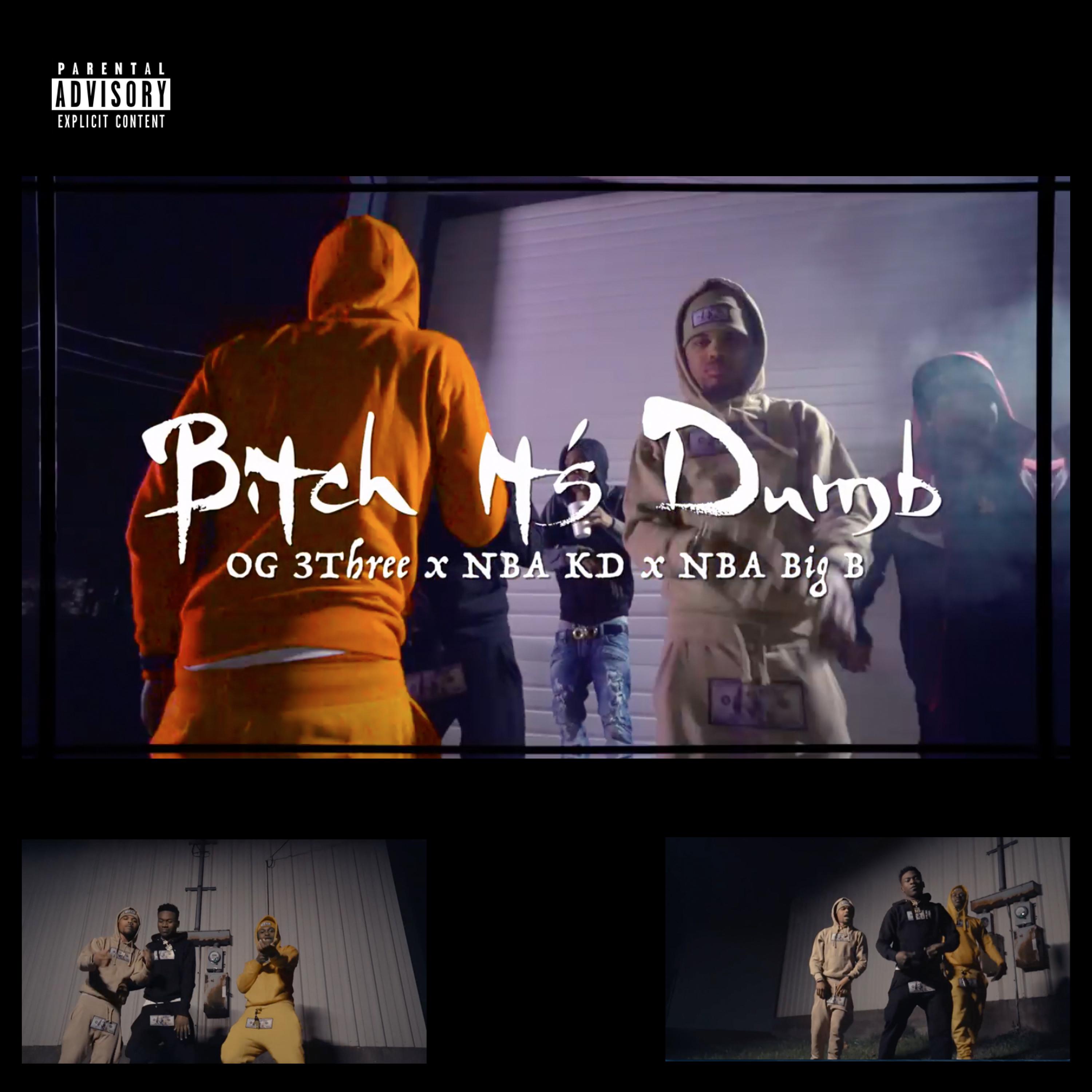 ***** It's Dumb (feat. NBA KD & NBA Big B)