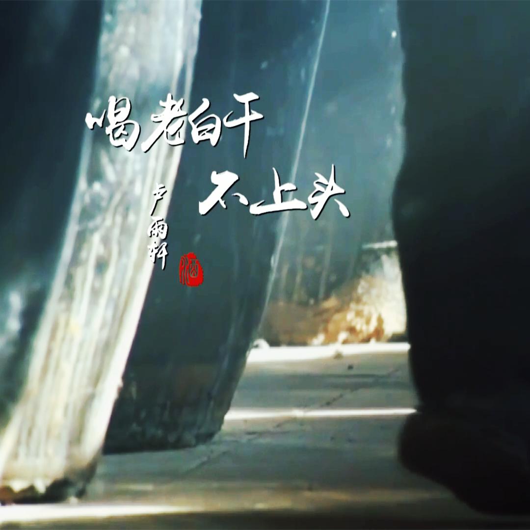 he lao bai gan bu shang tou