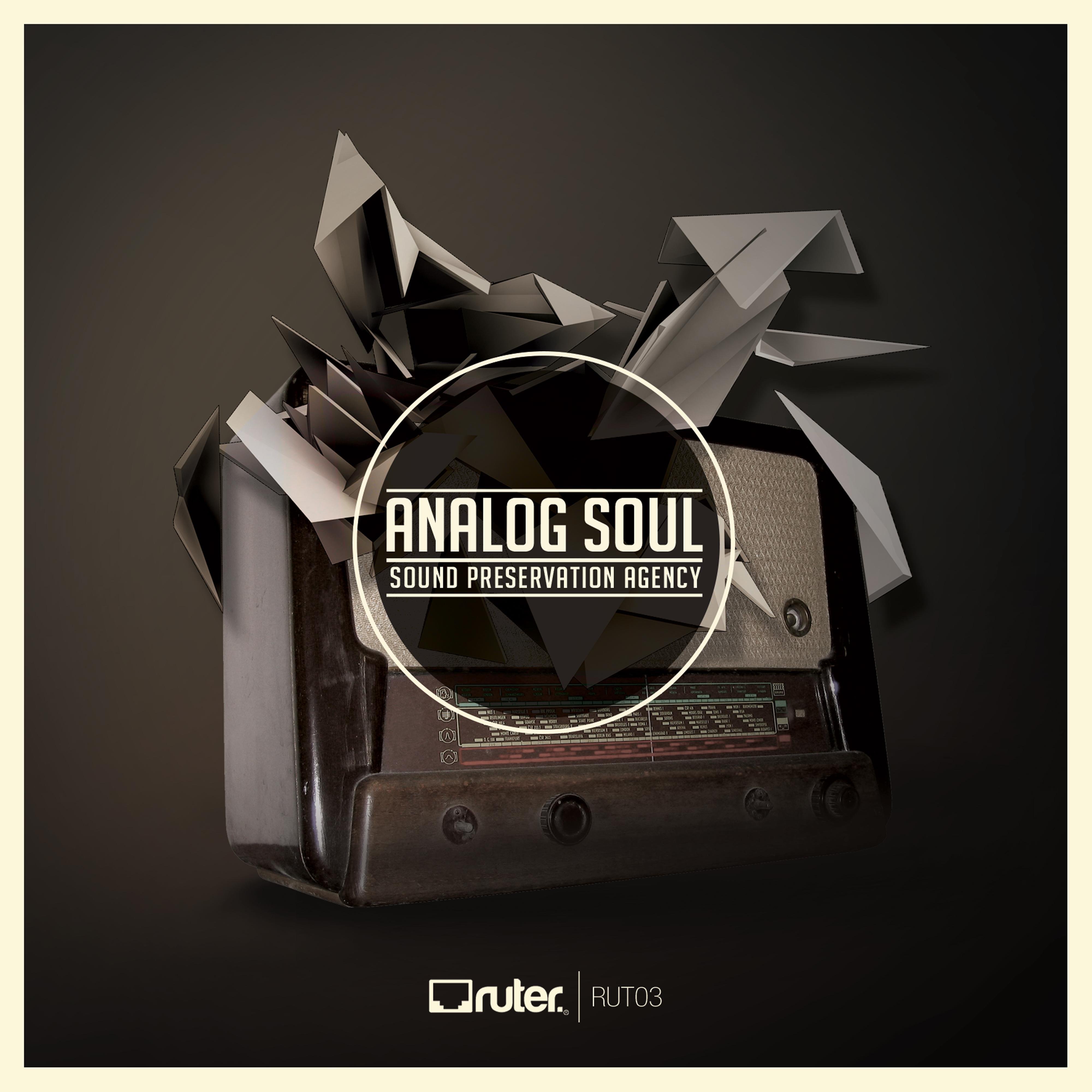 Analog Soul