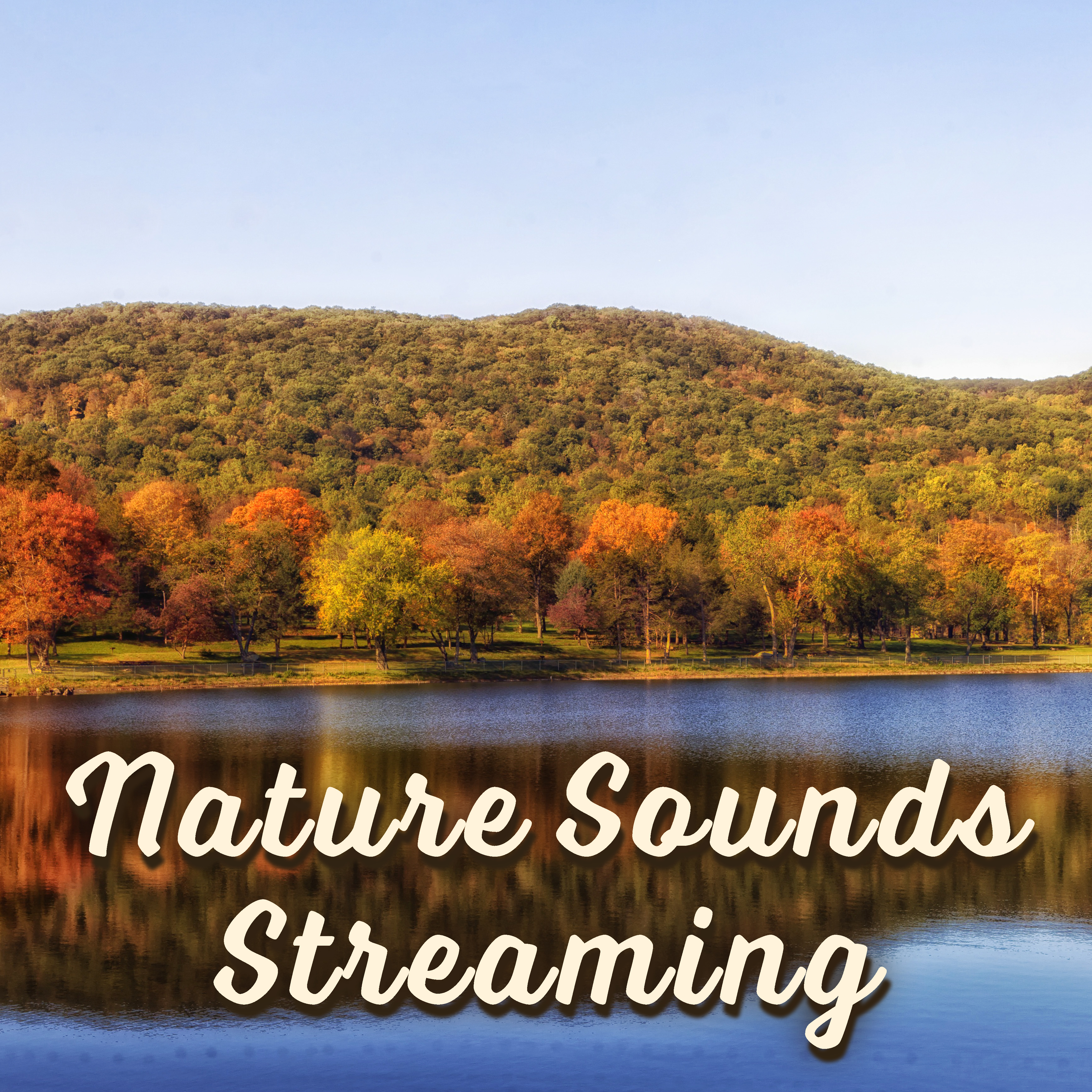 Nature Sounds Streaming  The Best of Relaxing Music, Fresh New Age 2017, Relief Stress, Music Therapy