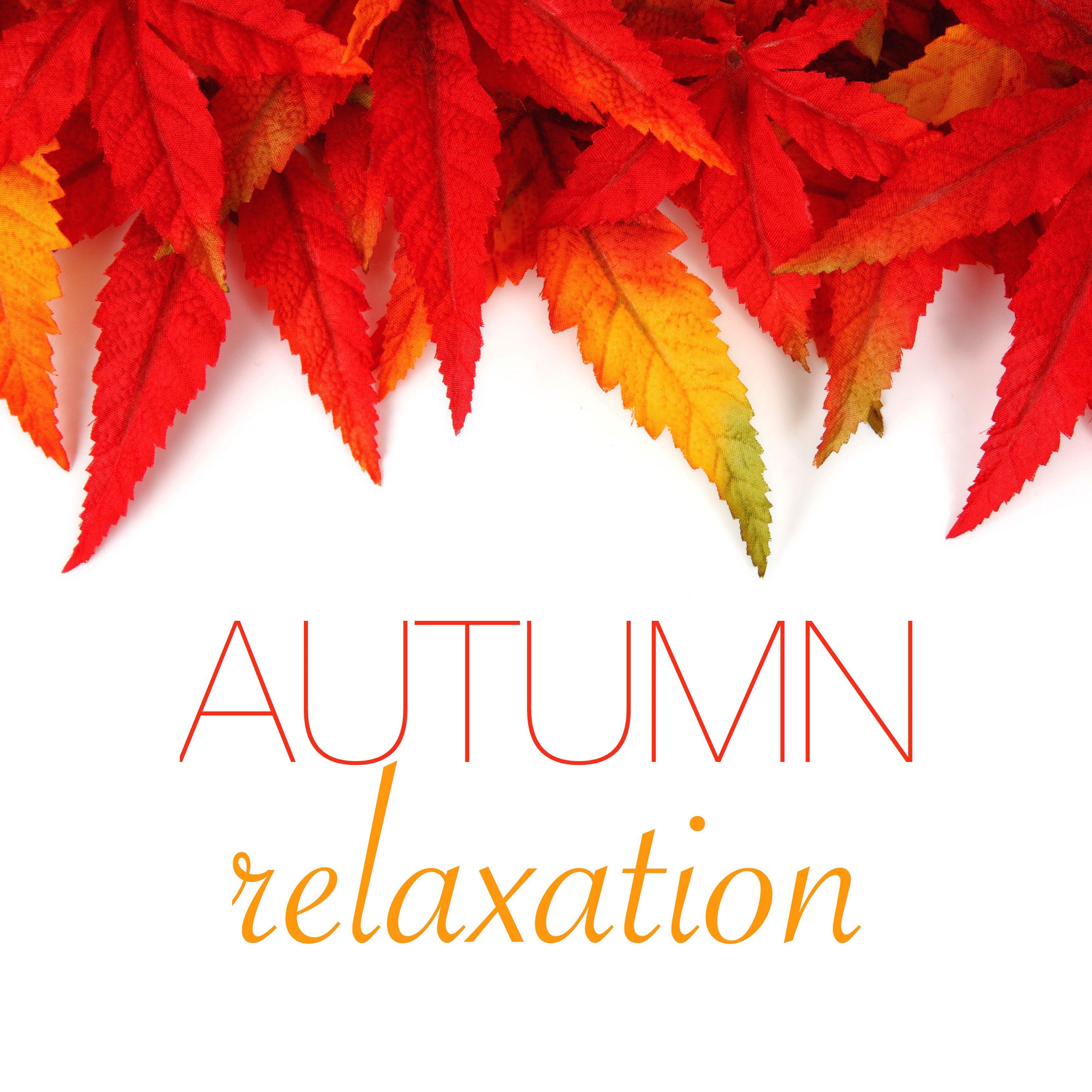 Autumn Relaxation